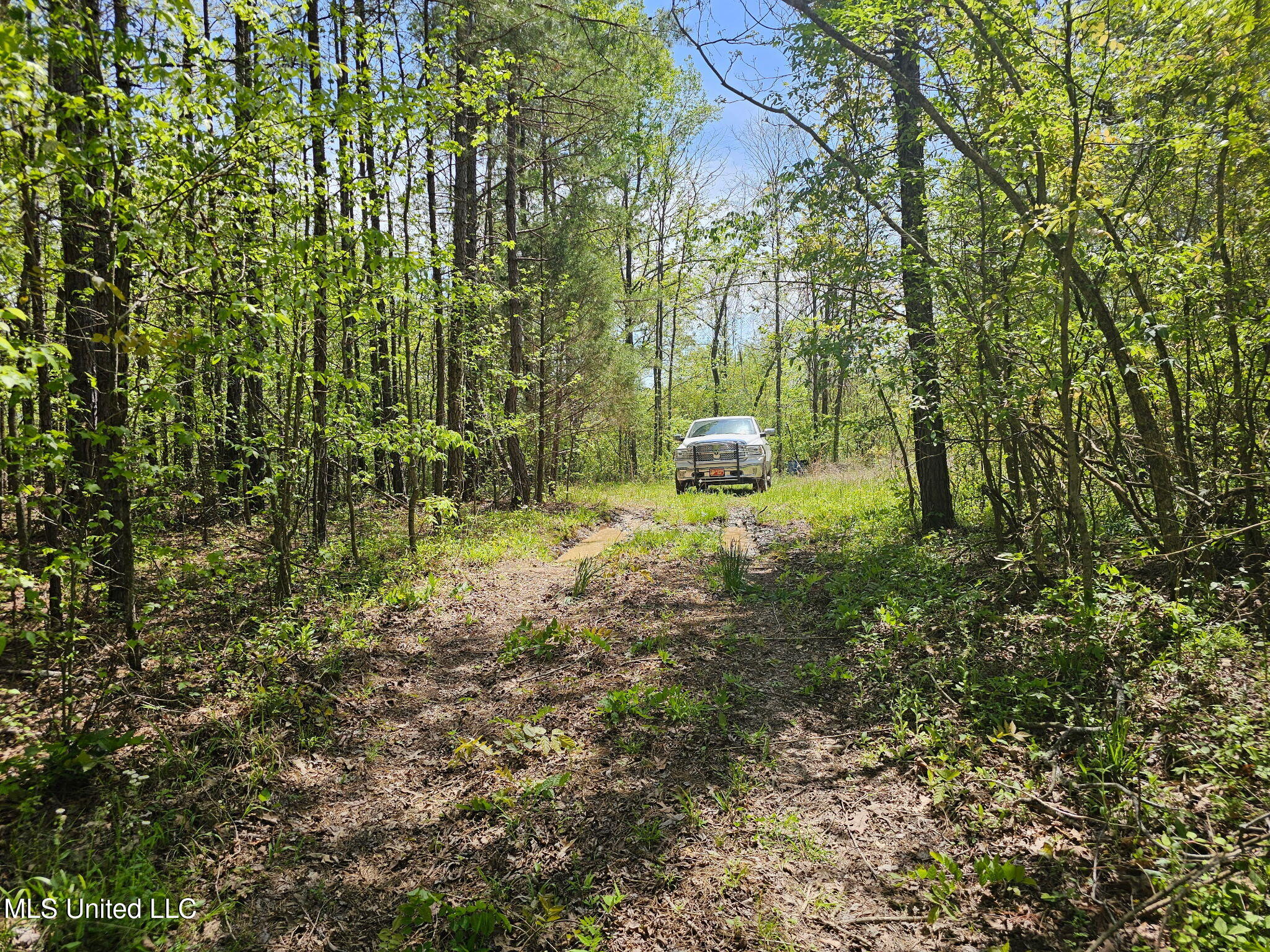 600 County Rd. 431, Ripley, Mississippi image 2