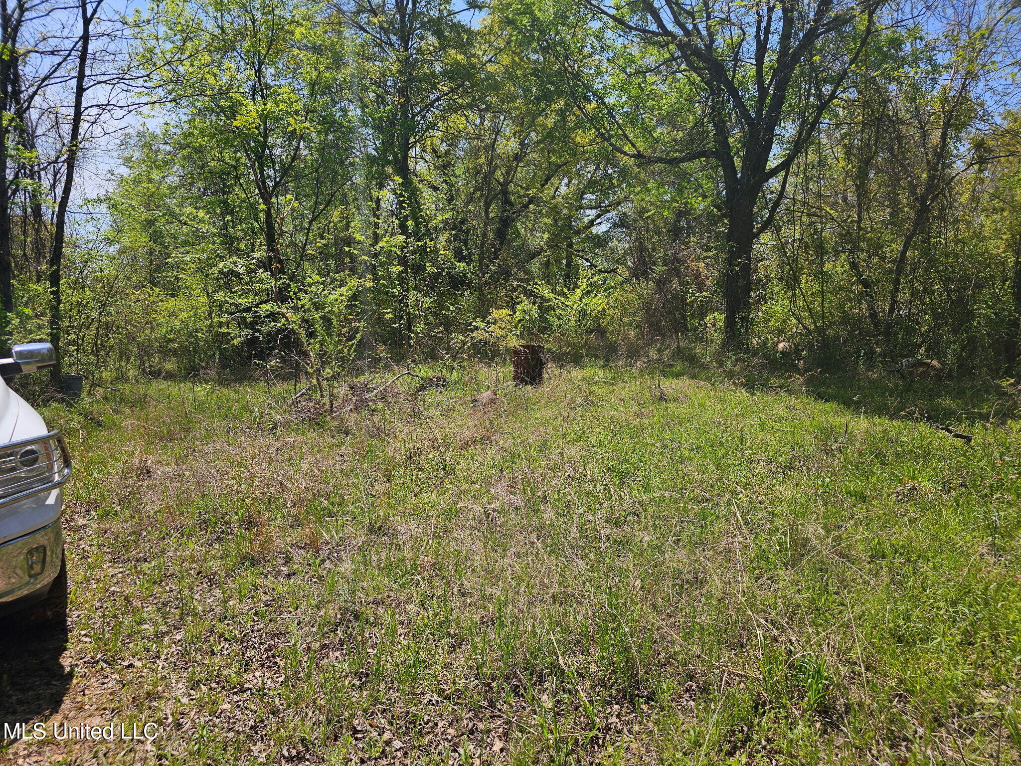 600 County Rd. 431, Ripley, Mississippi image 3