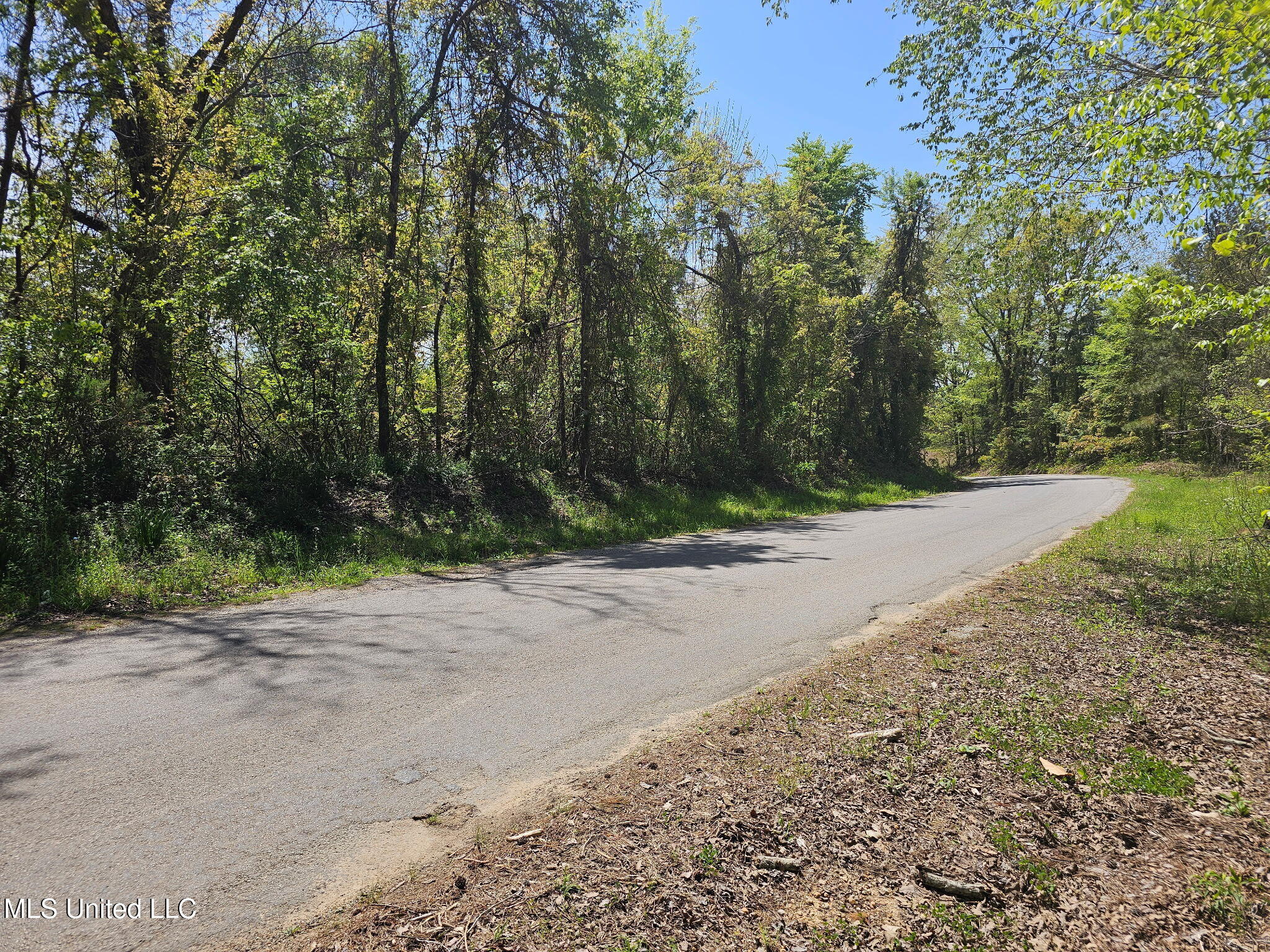 600 County Rd. 431, Ripley, Mississippi image 6