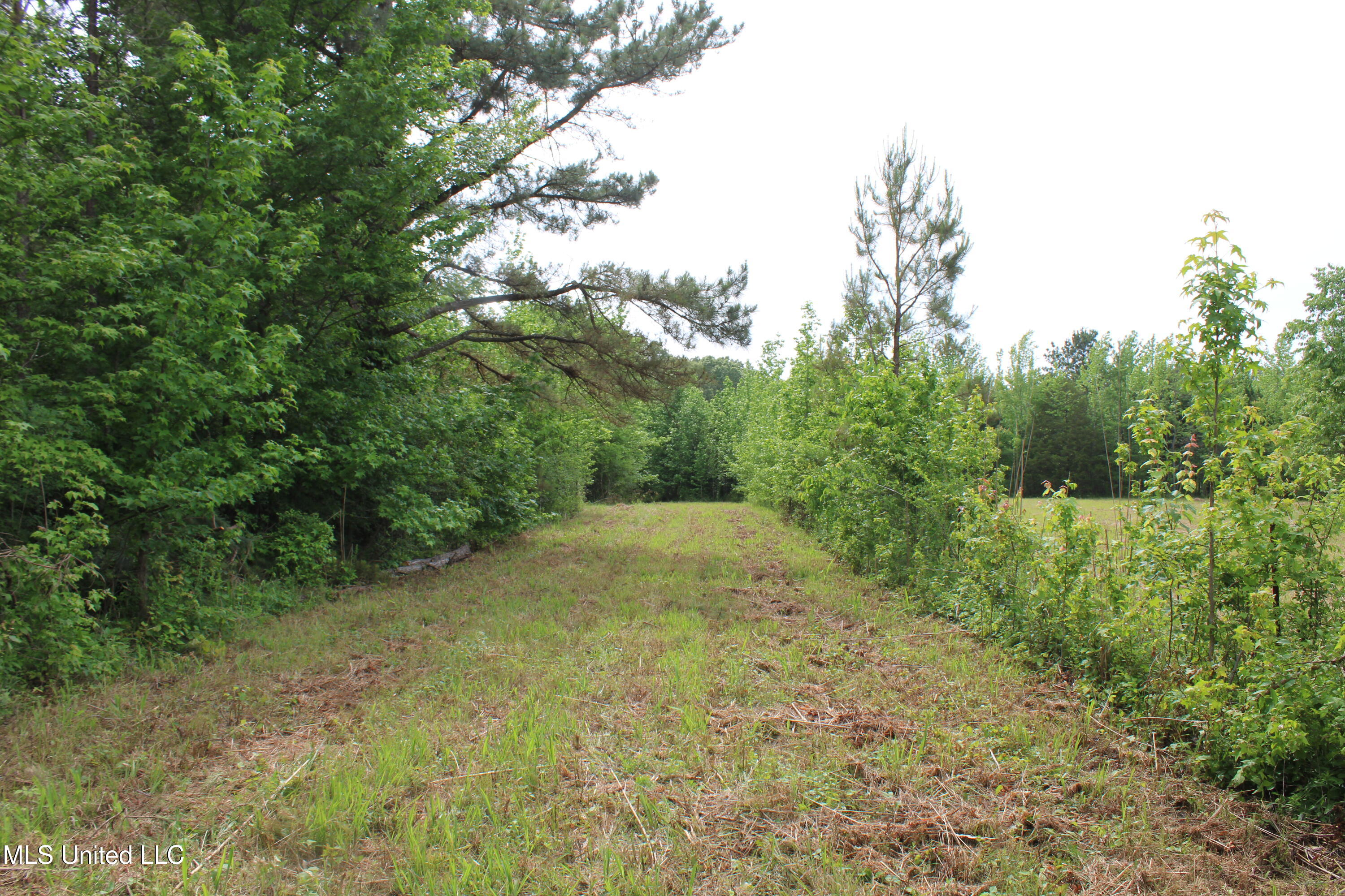 656 Sunset Drive, Coldwater, Mississippi image 31