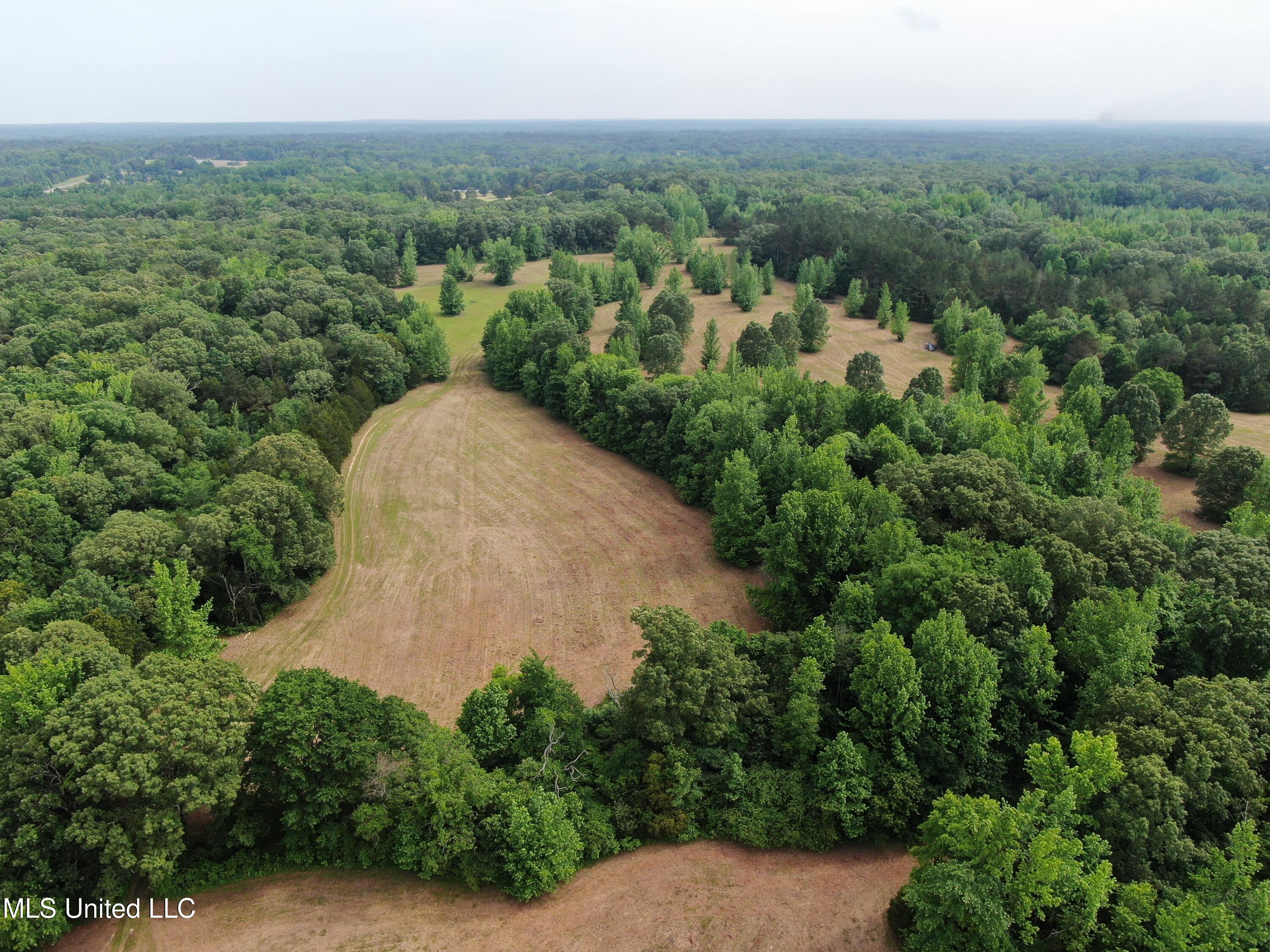 656 Sunset Drive, Coldwater, Mississippi image 9