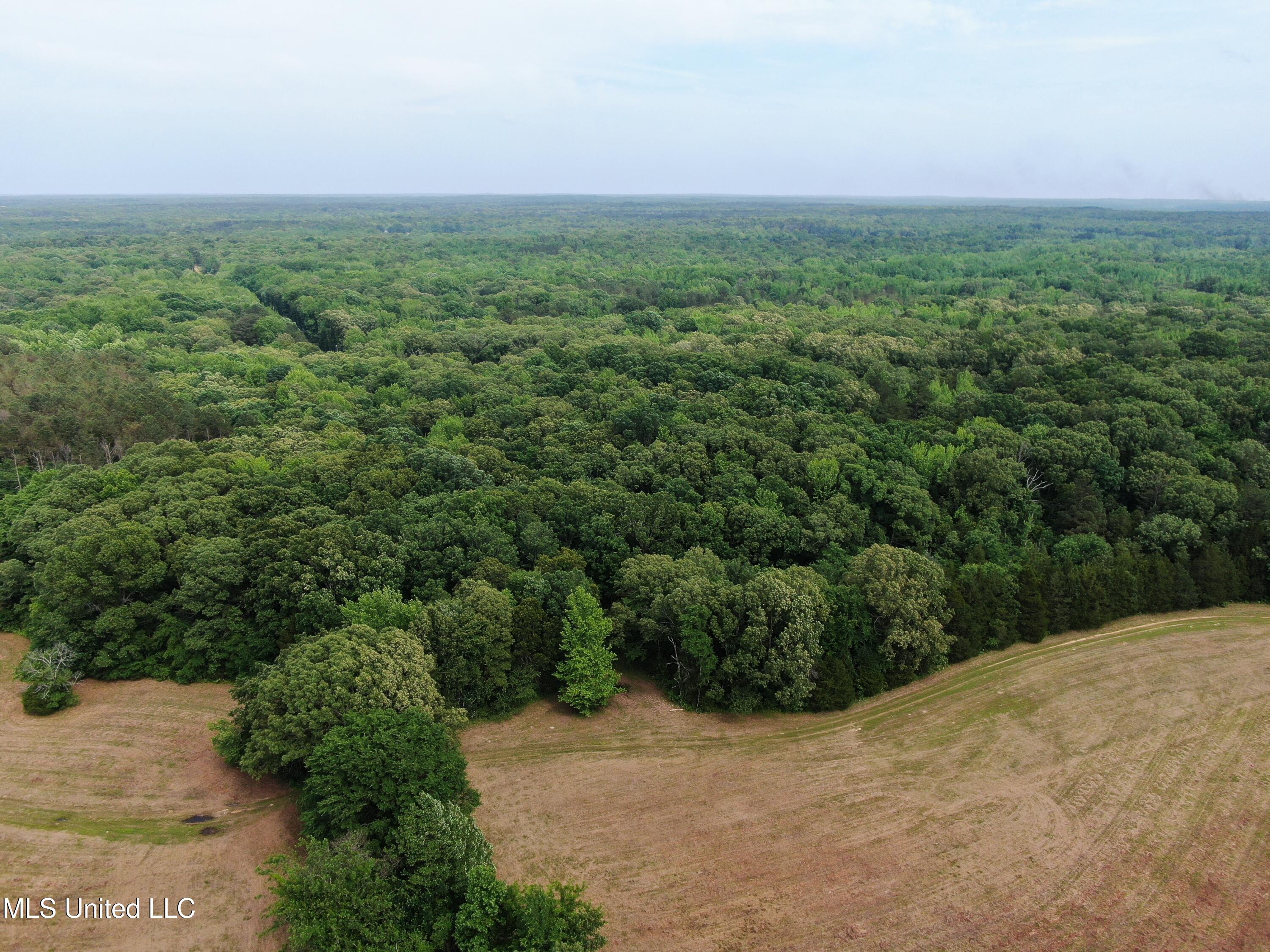 656 Sunset Drive, Coldwater, Mississippi image 11