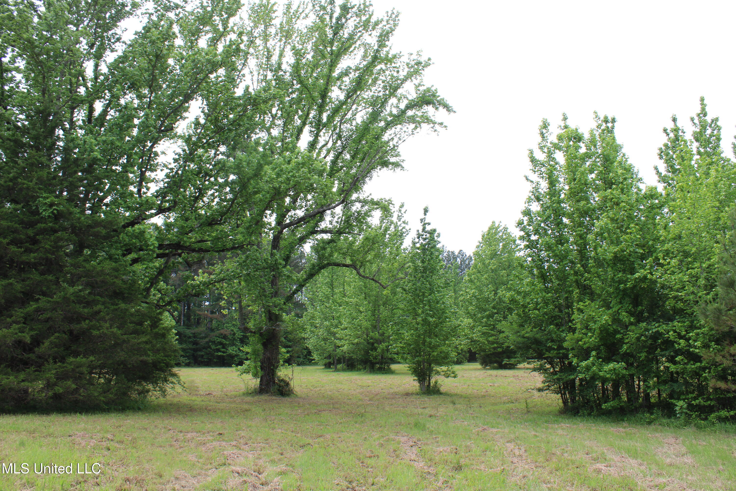 656 Sunset Drive, Coldwater, Mississippi image 24