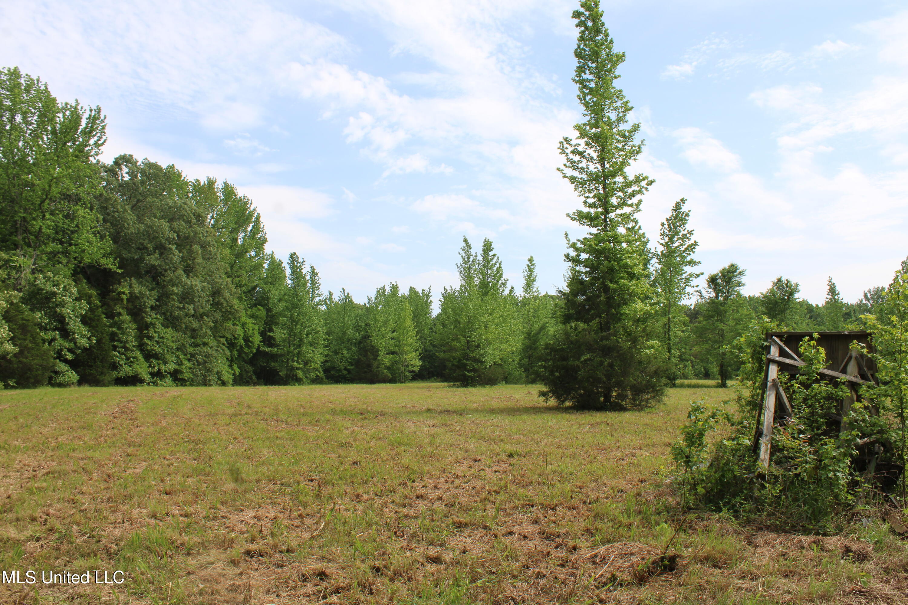 656 Sunset Drive, Coldwater, Mississippi image 33