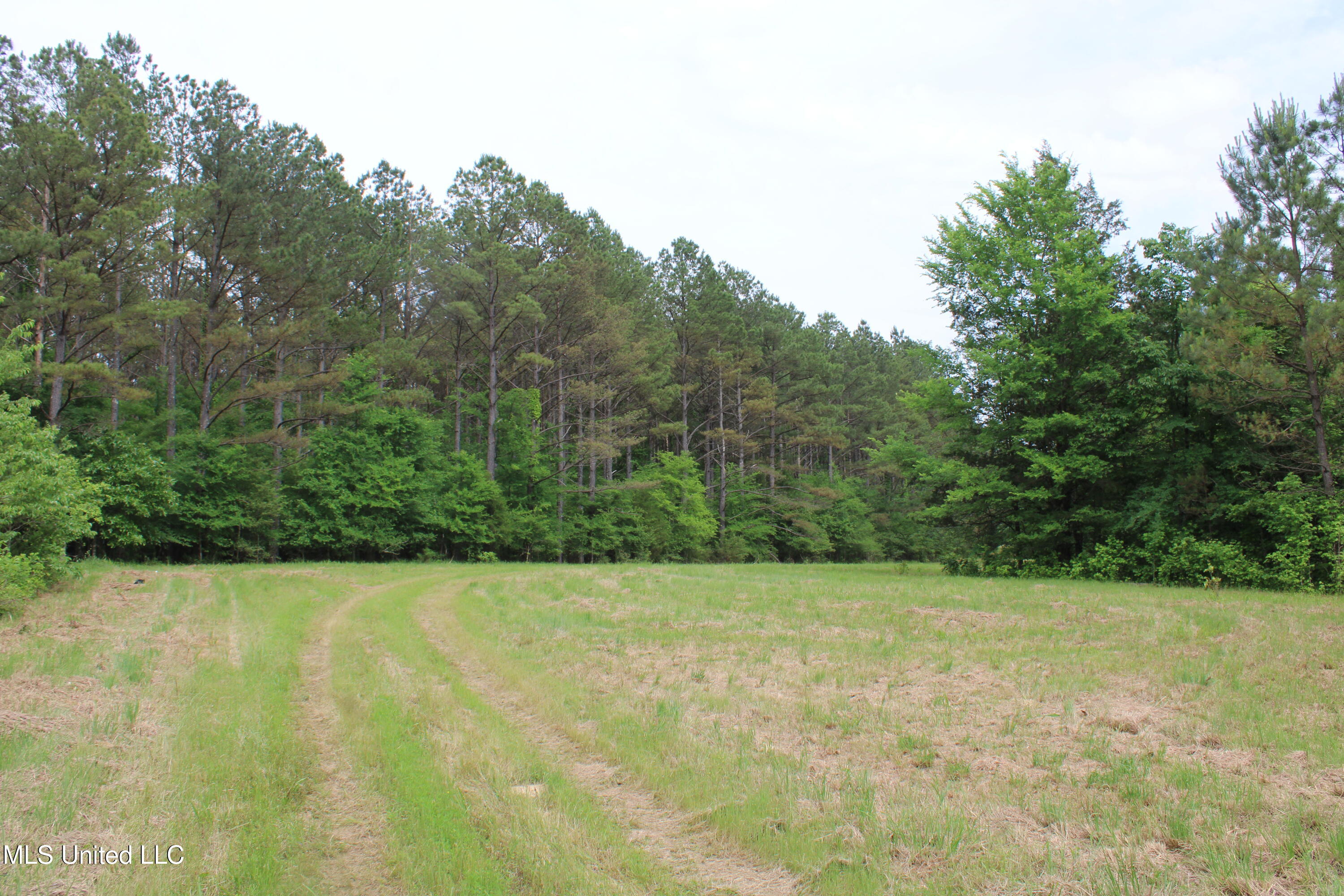 656 Sunset Drive, Coldwater, Mississippi image 16