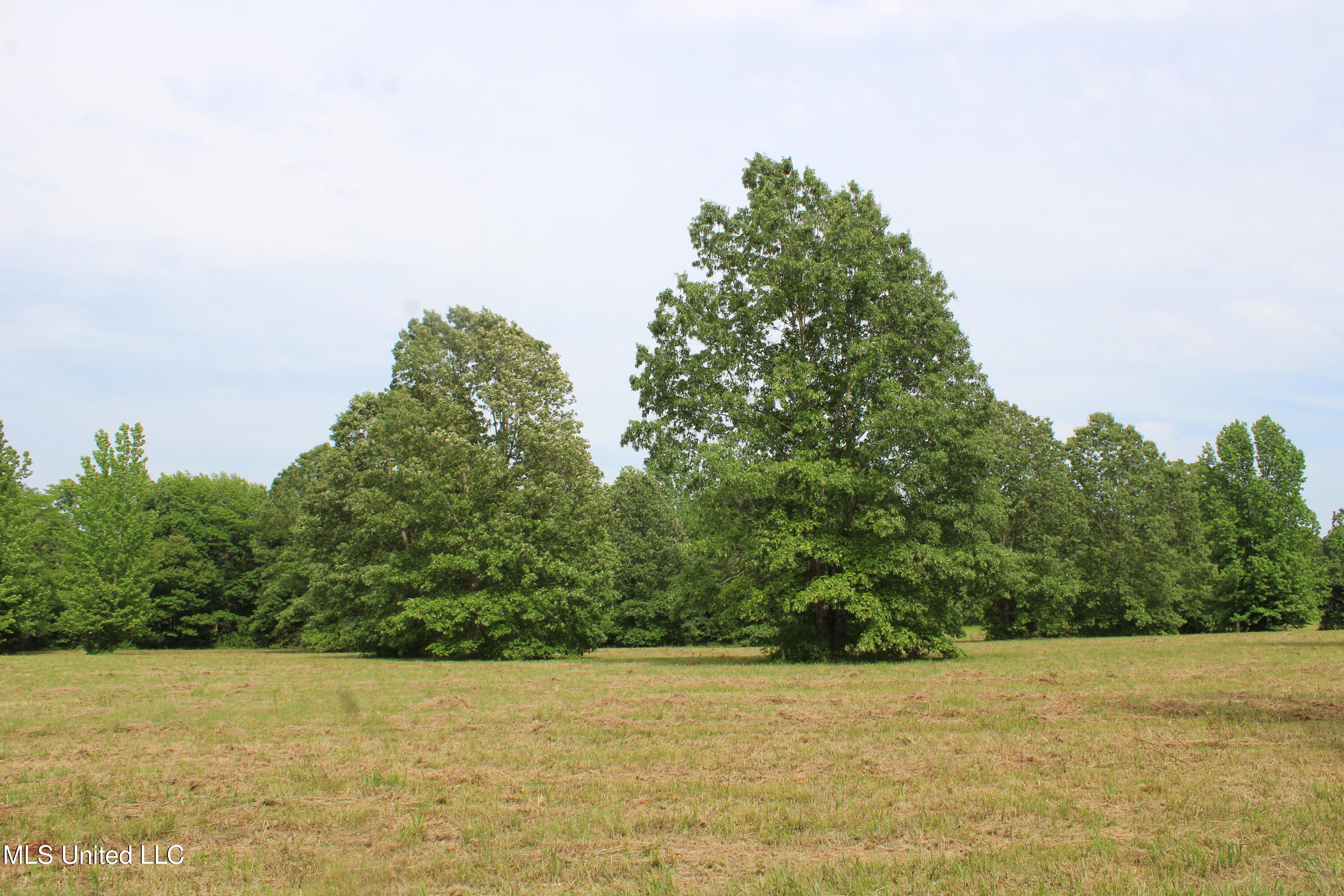 656 Sunset Drive, Coldwater, Mississippi image 35