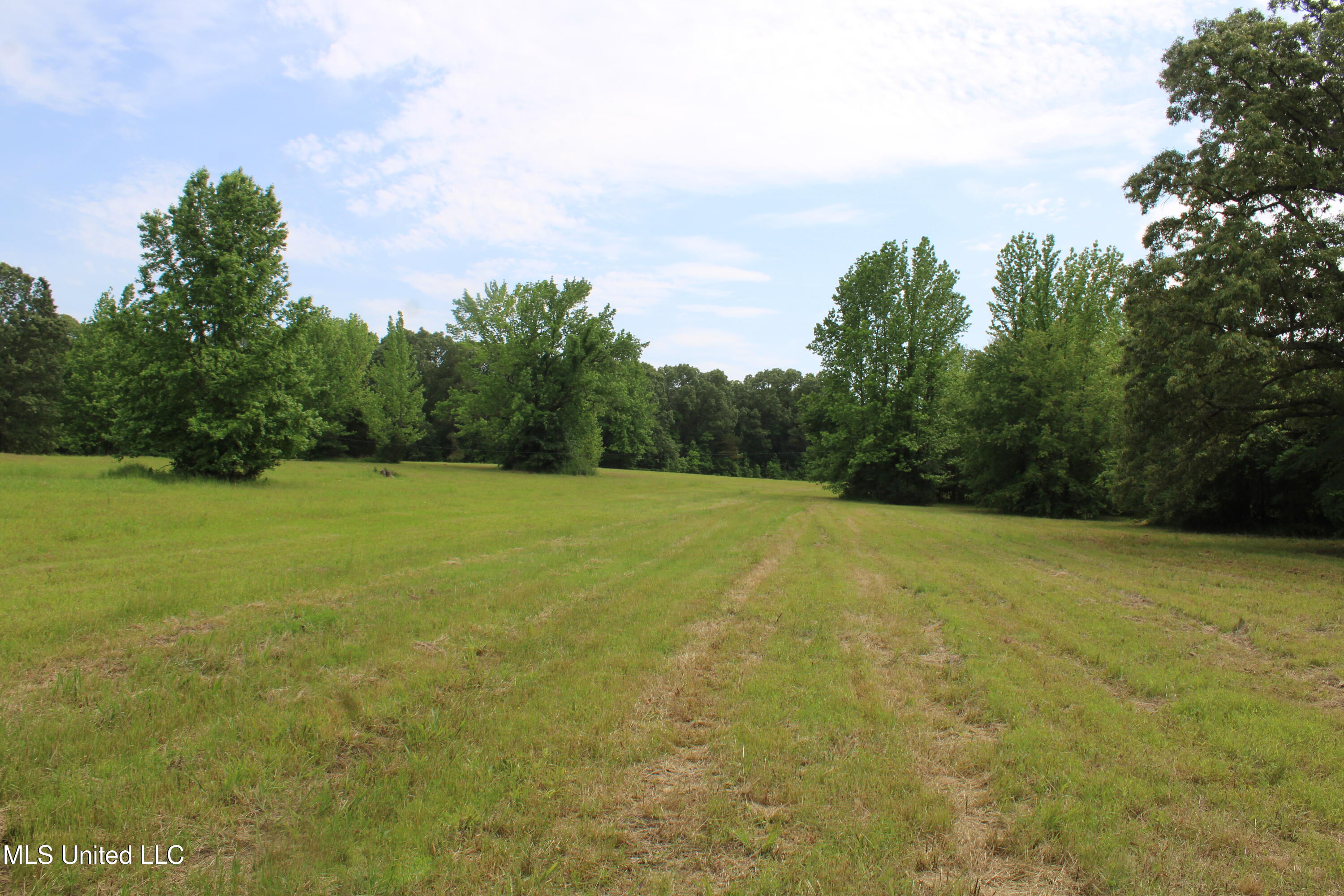 656 Sunset Drive, Coldwater, Mississippi image 23