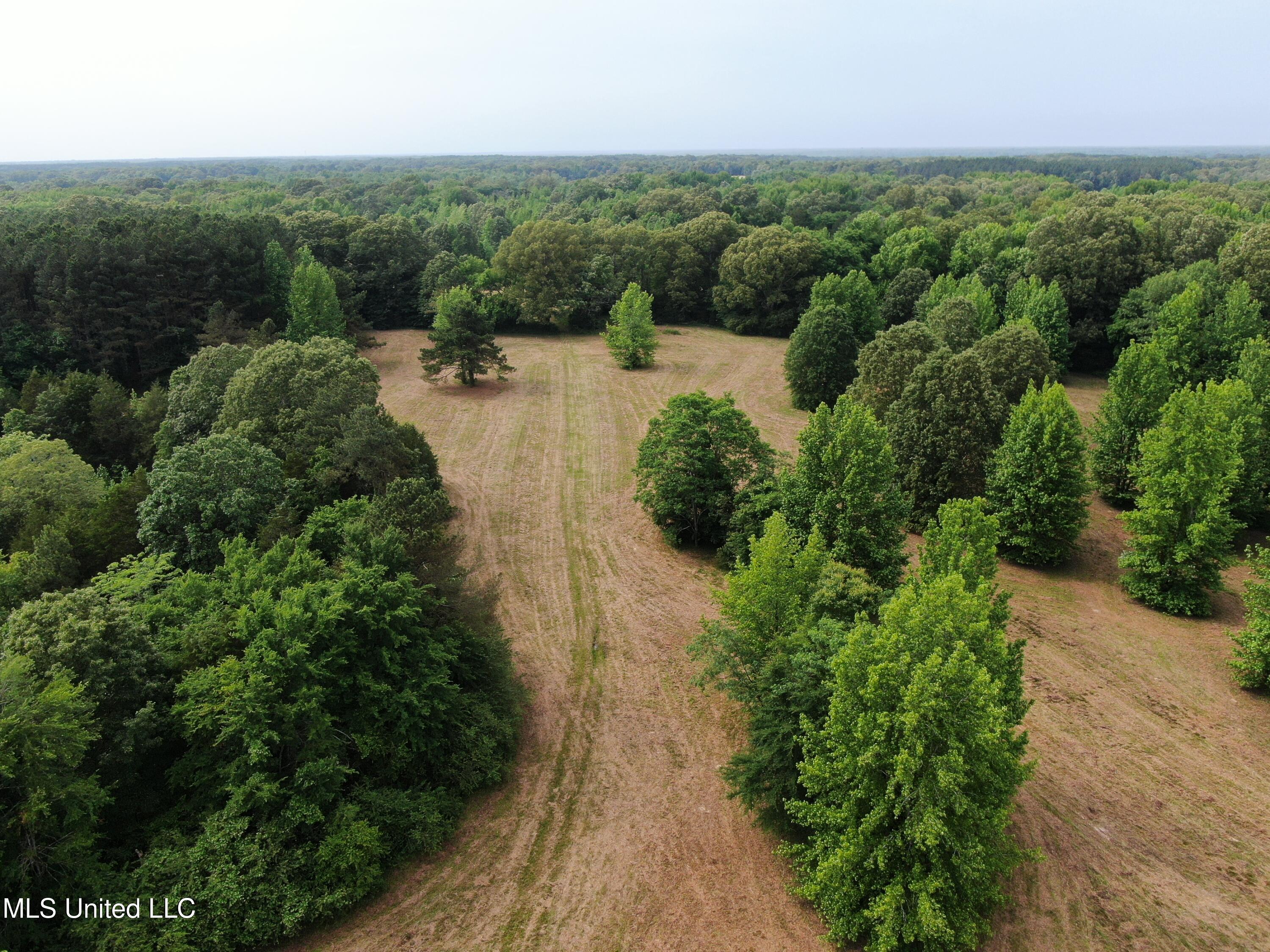 656 Sunset Drive, Coldwater, Mississippi image 2
