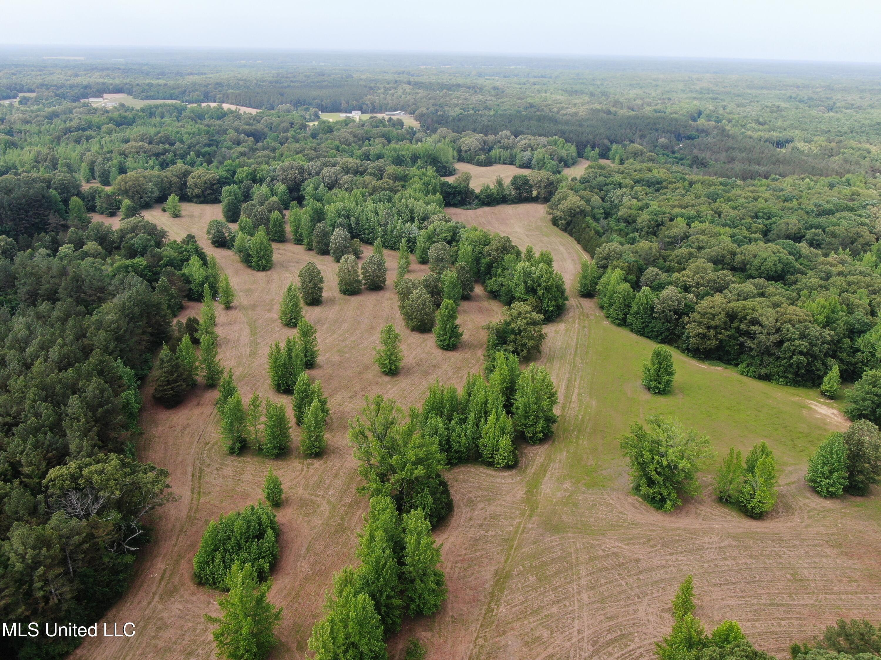 656 Sunset Drive, Coldwater, Mississippi image 15
