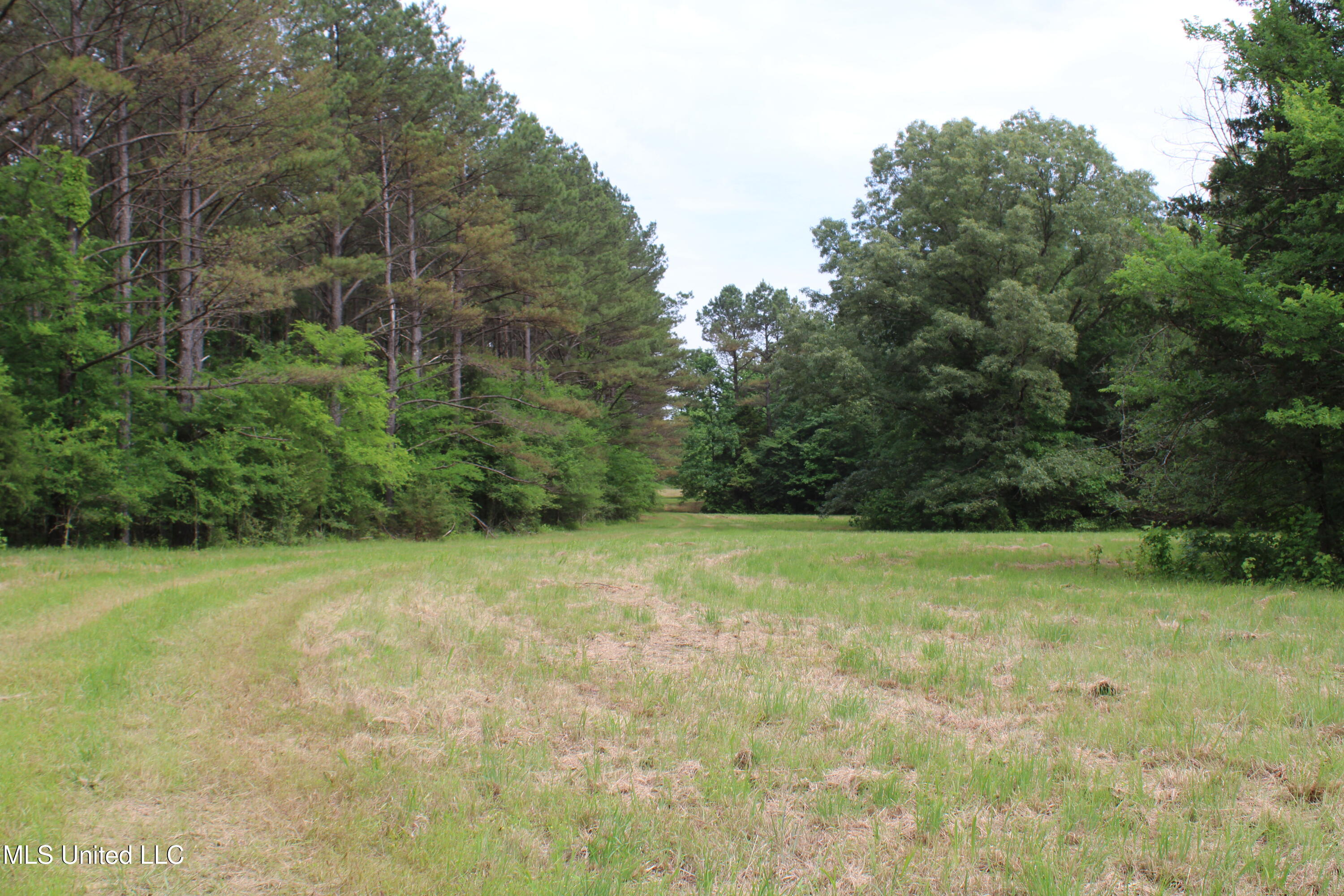 656 Sunset Drive, Coldwater, Mississippi image 17