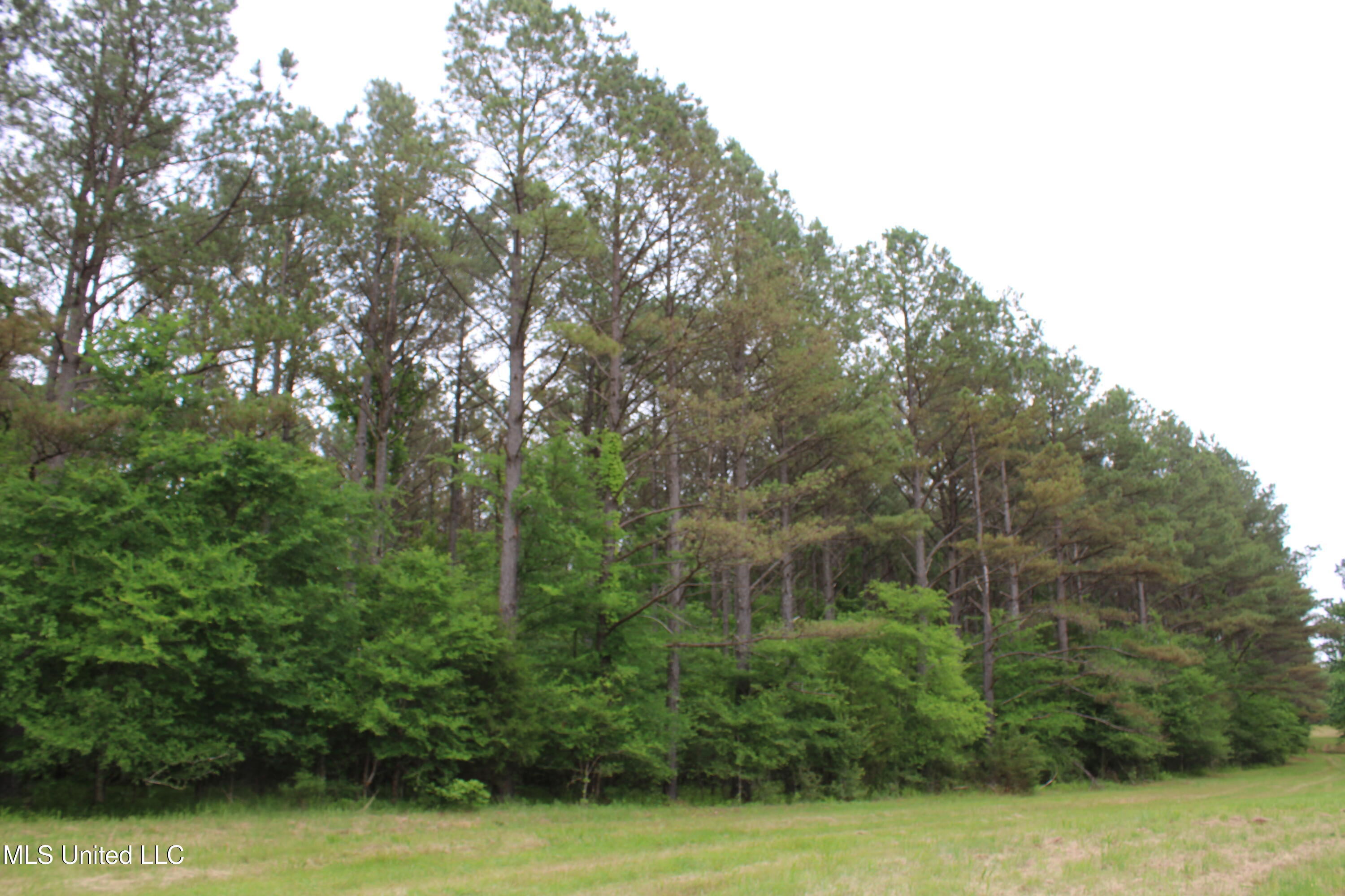 656 Sunset Drive, Coldwater, Mississippi image 39