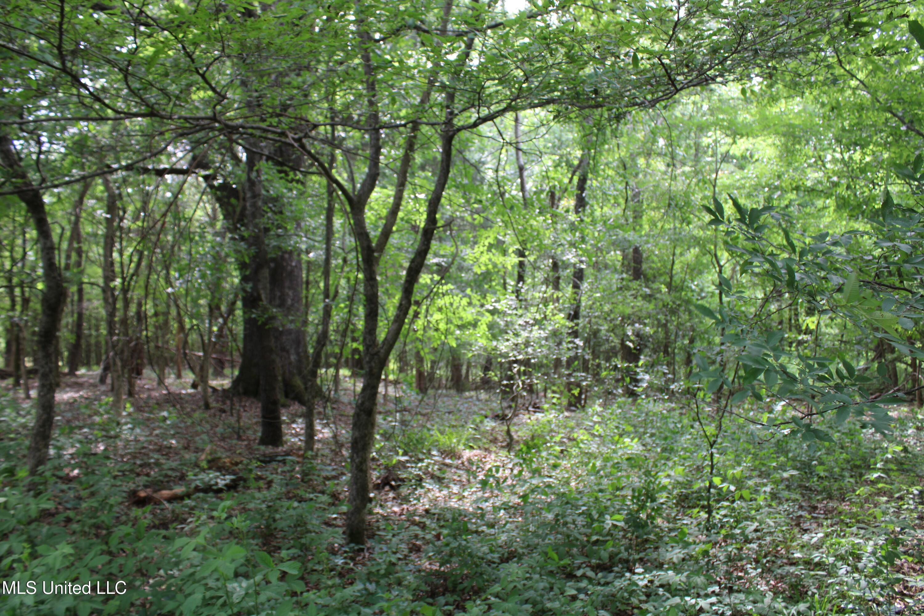 656 Sunset Drive, Coldwater, Mississippi image 30
