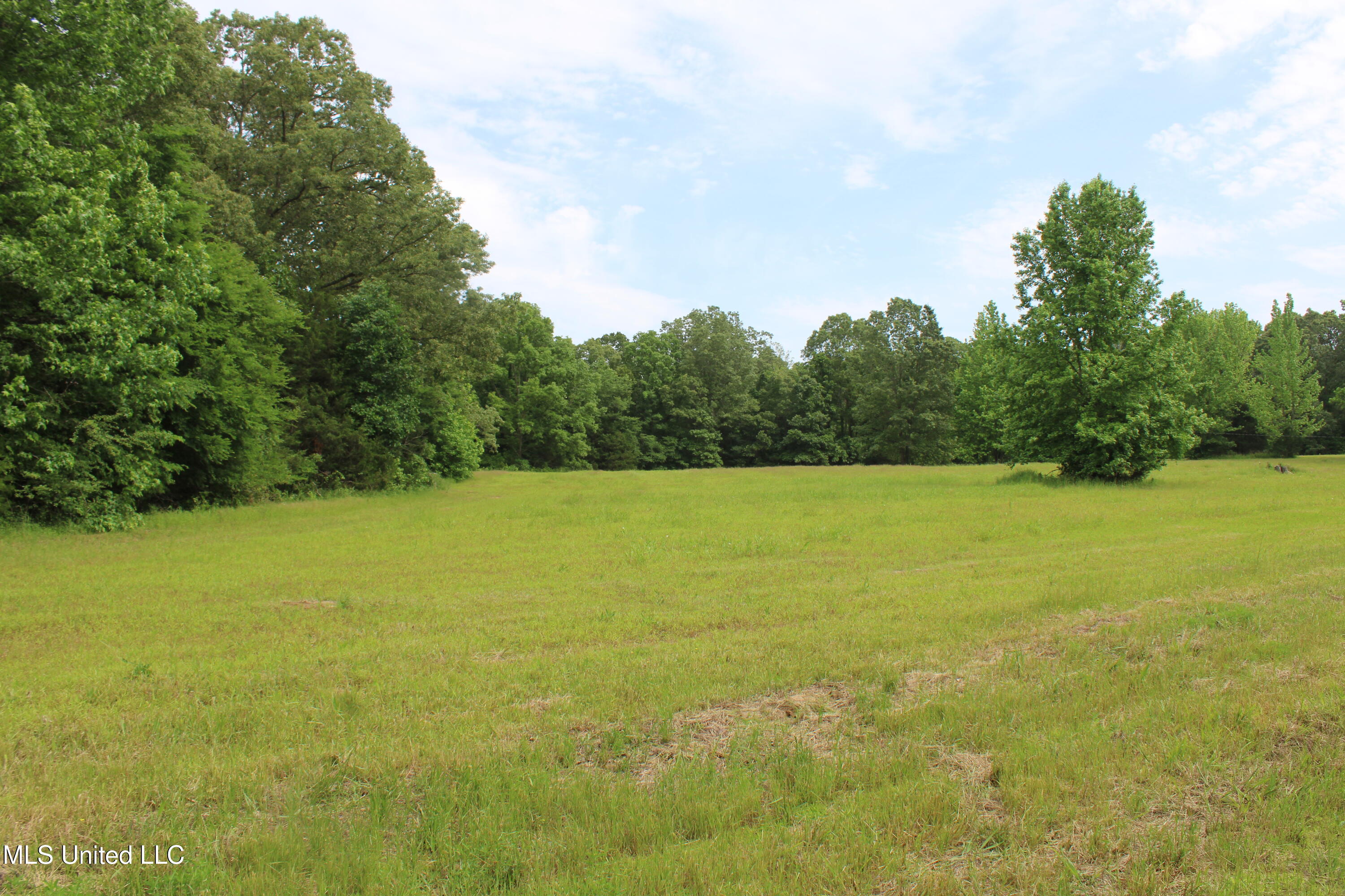 656 Sunset Drive, Coldwater, Mississippi image 22