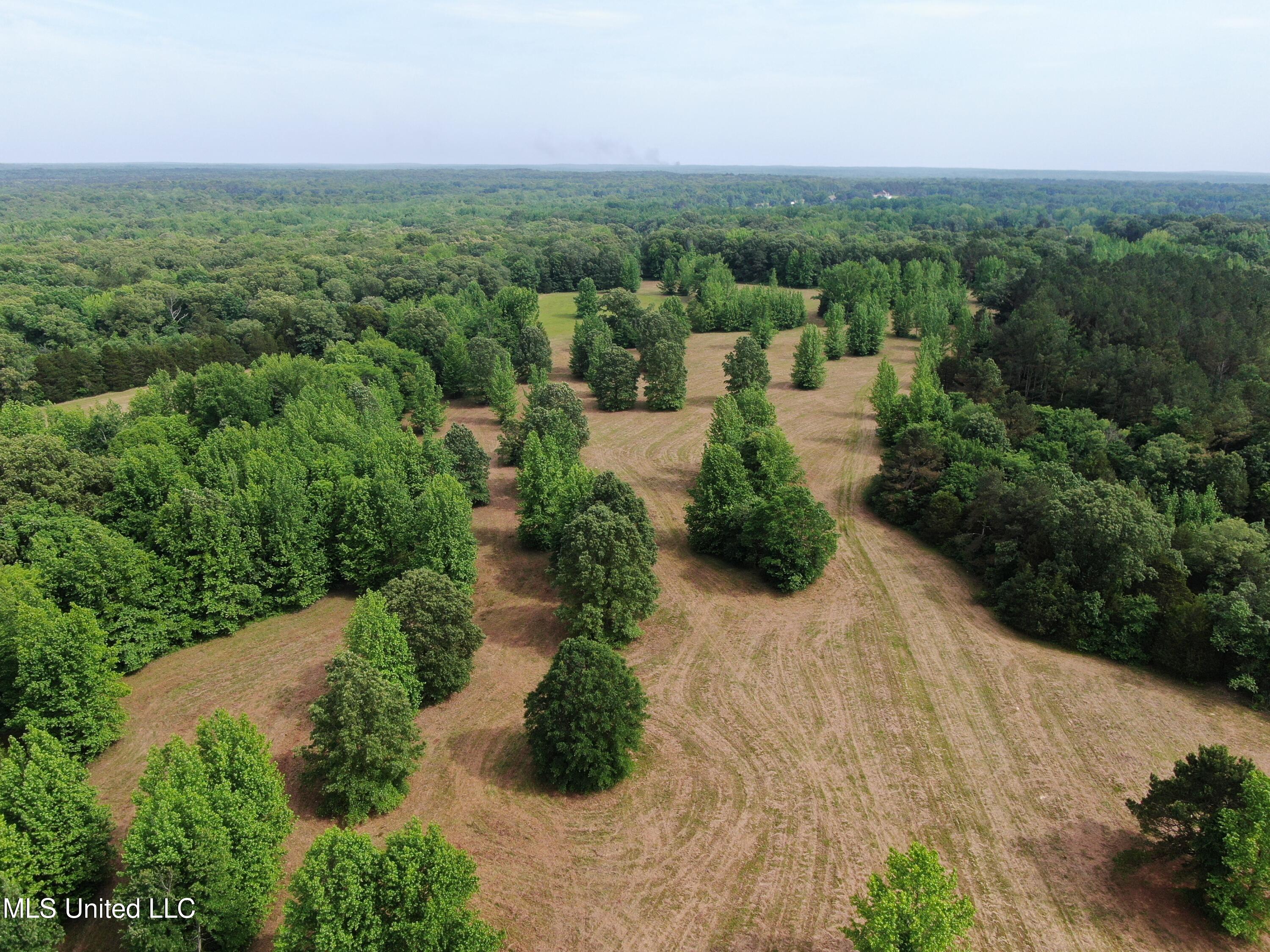 656 Sunset Drive, Coldwater, Mississippi image 4