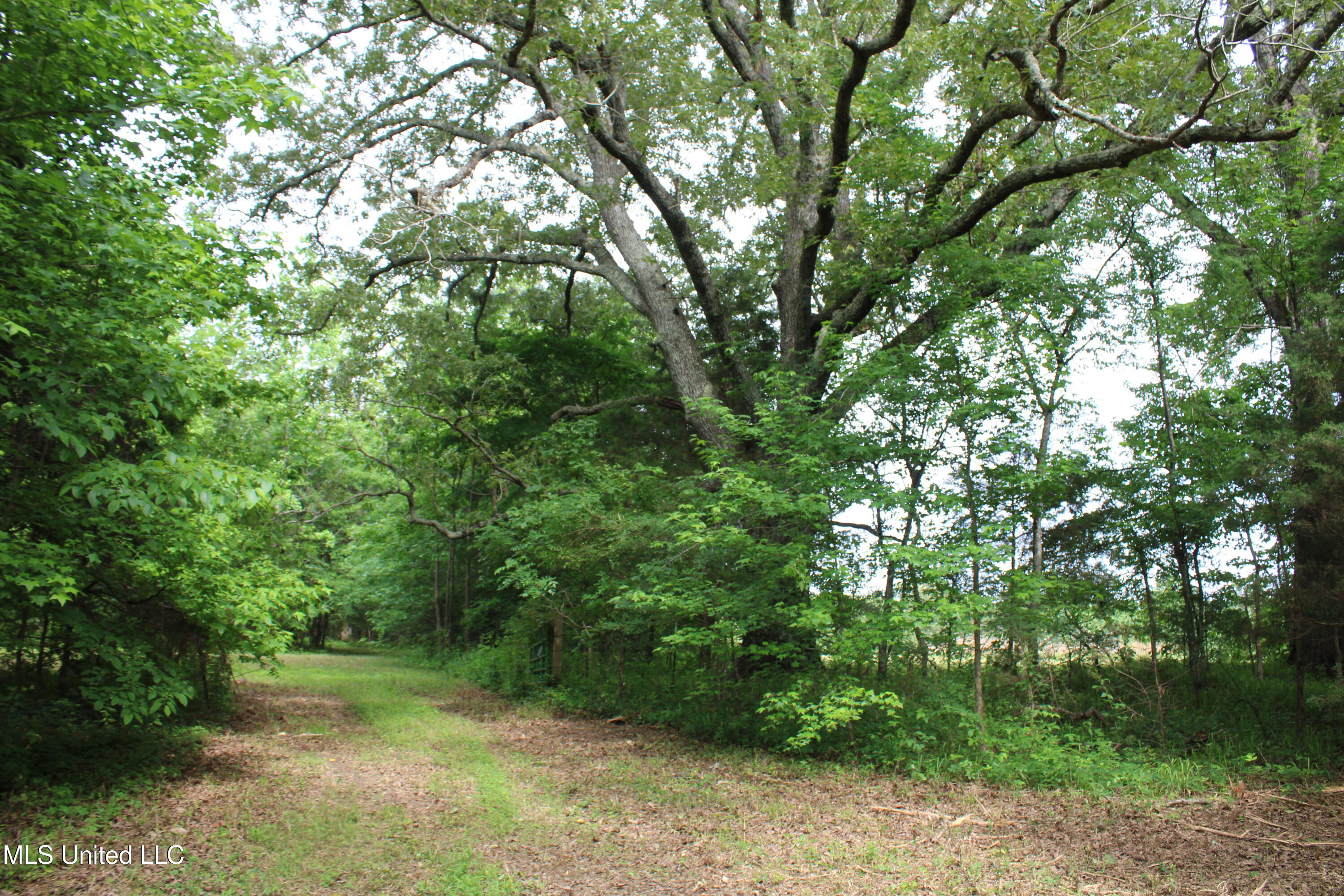 656 Sunset Drive, Coldwater, Mississippi image 34