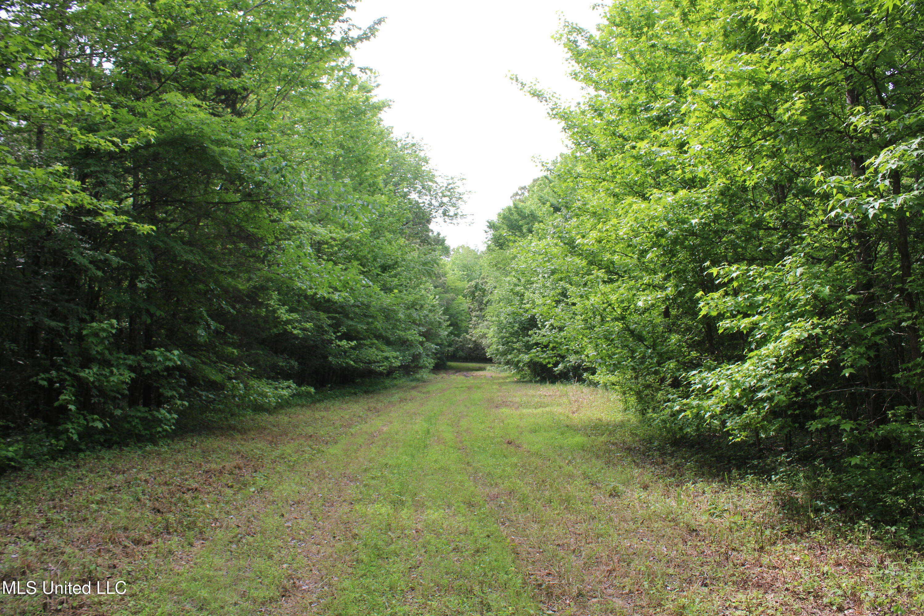 656 Sunset Drive, Coldwater, Mississippi image 29