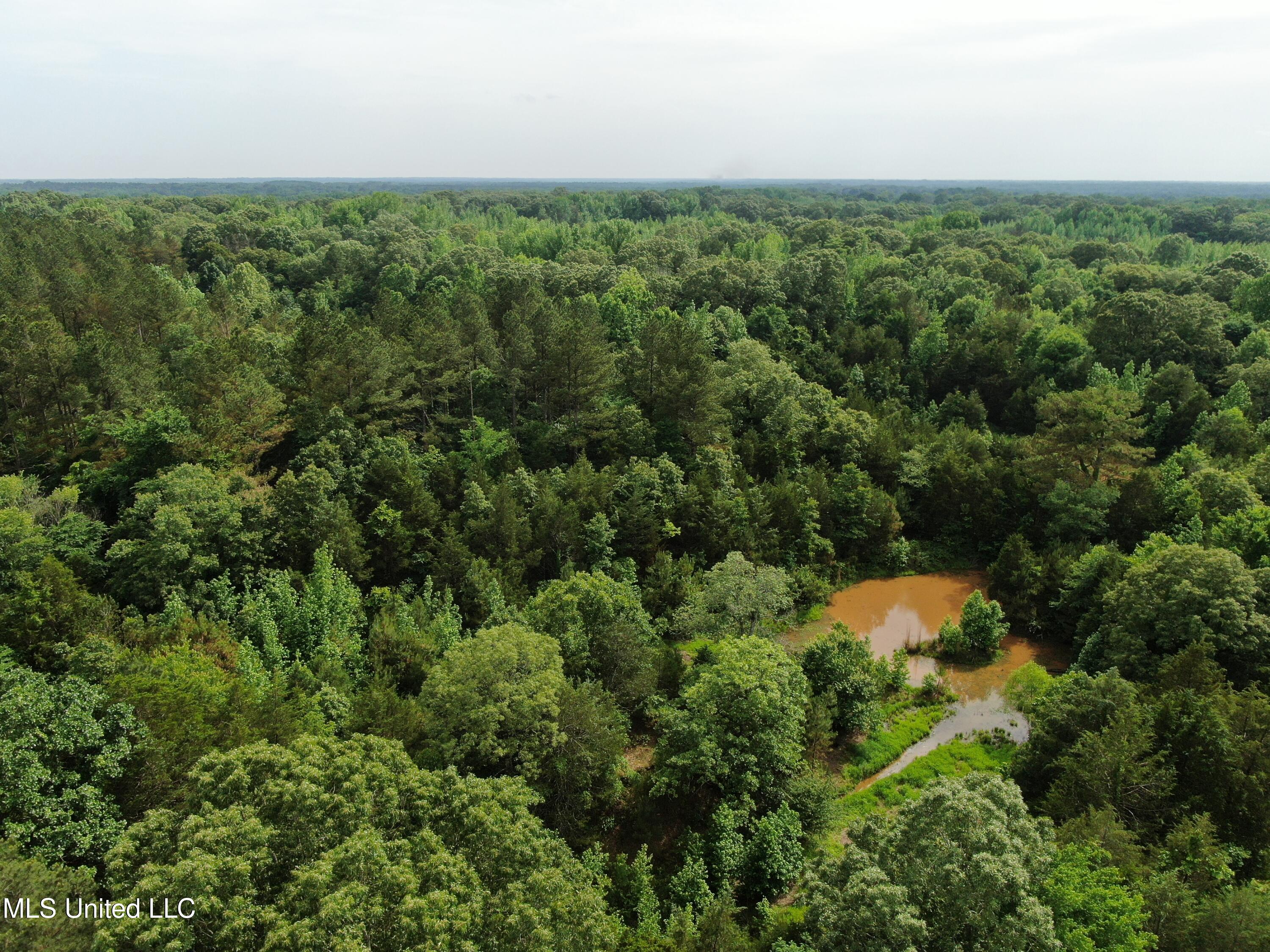 656 Sunset Drive, Coldwater, Mississippi image 3
