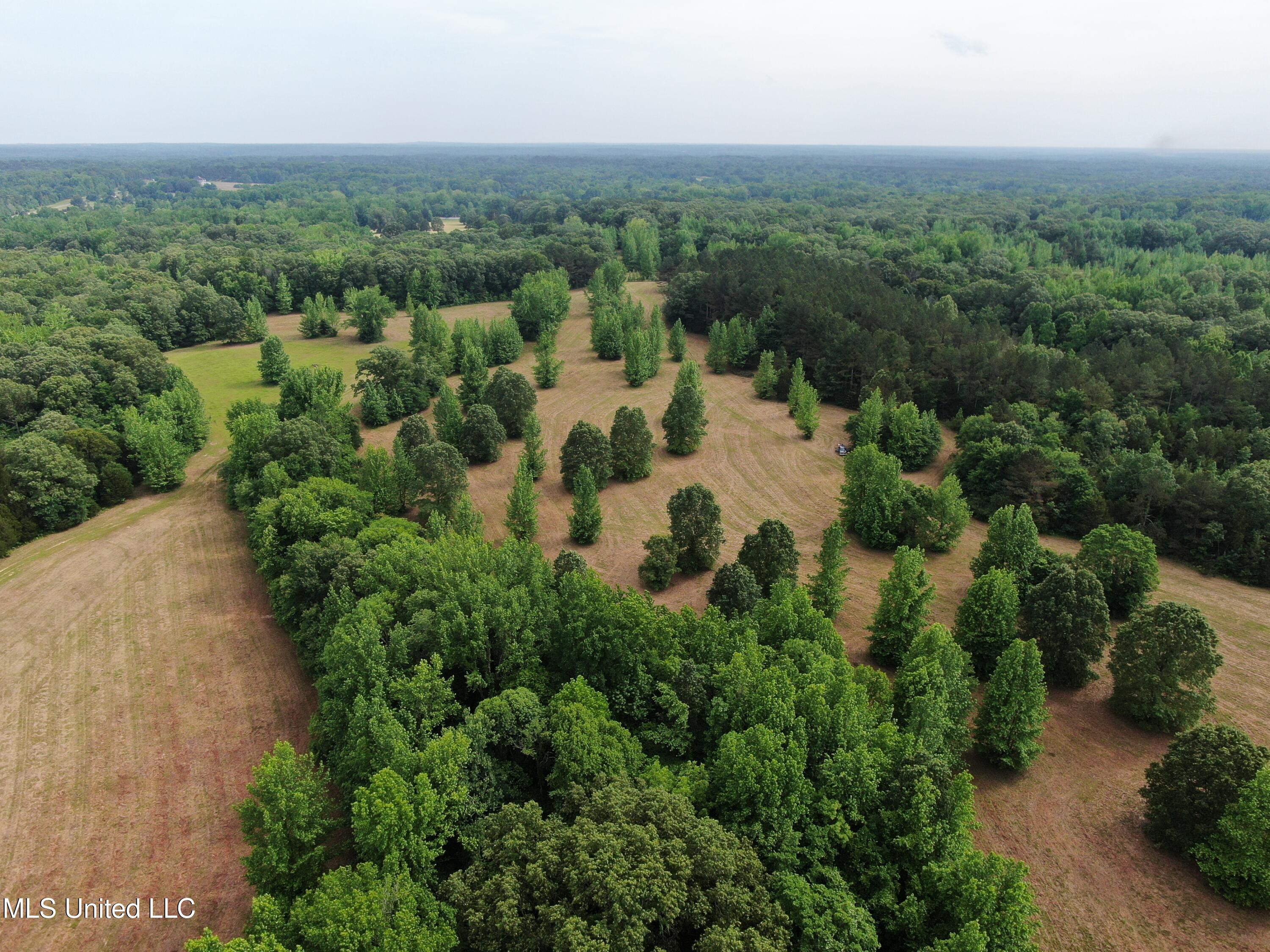 656 Sunset Drive, Coldwater, Mississippi image 10