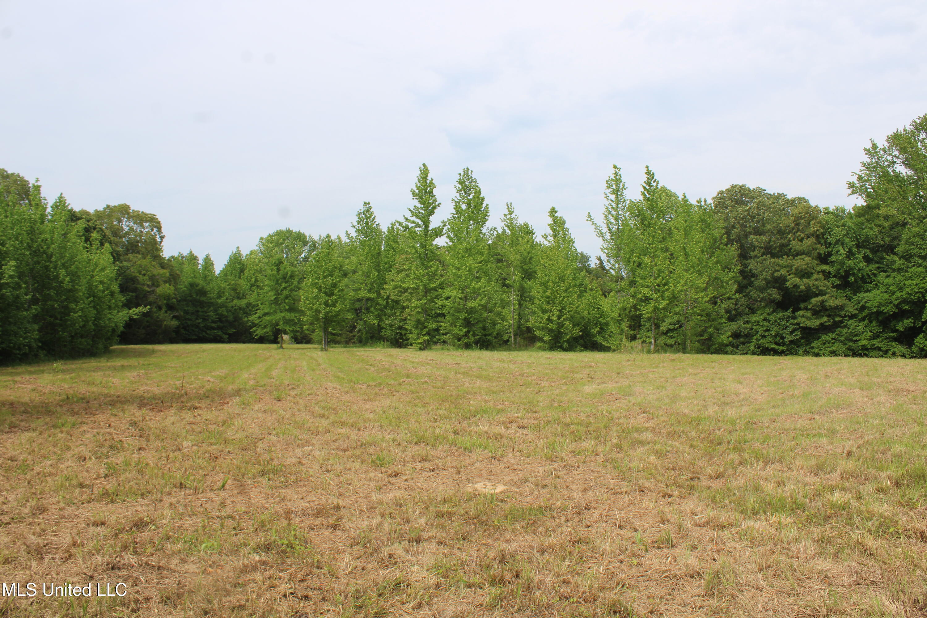656 Sunset Drive, Coldwater, Mississippi image 32