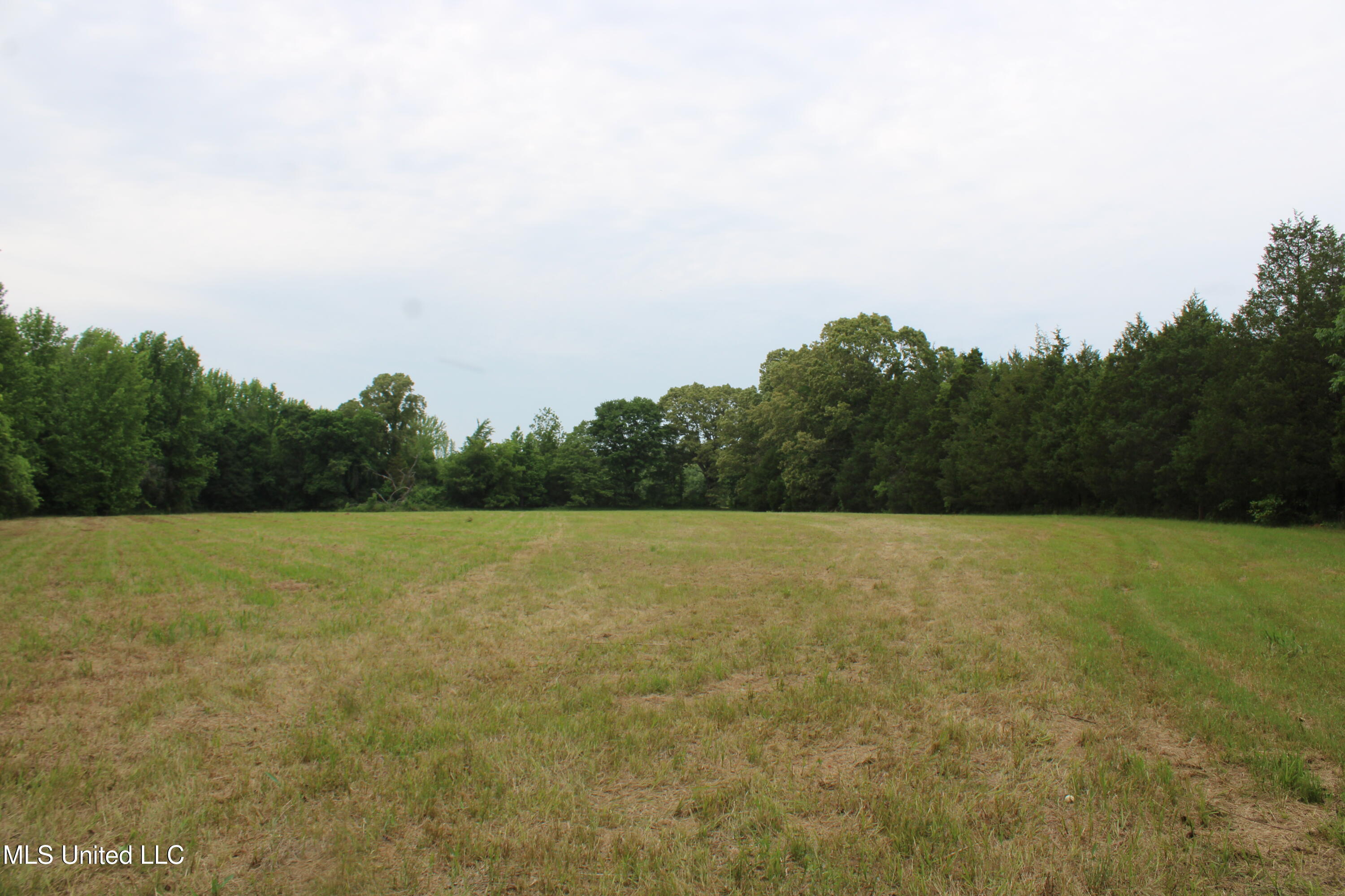 656 Sunset Drive, Coldwater, Mississippi image 37
