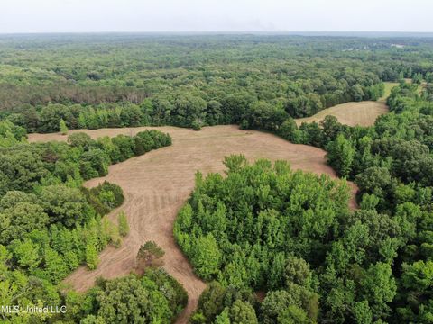 Vacant Land For Sale - 656 Sunset Drive<br/> Coldwater, MS 38618