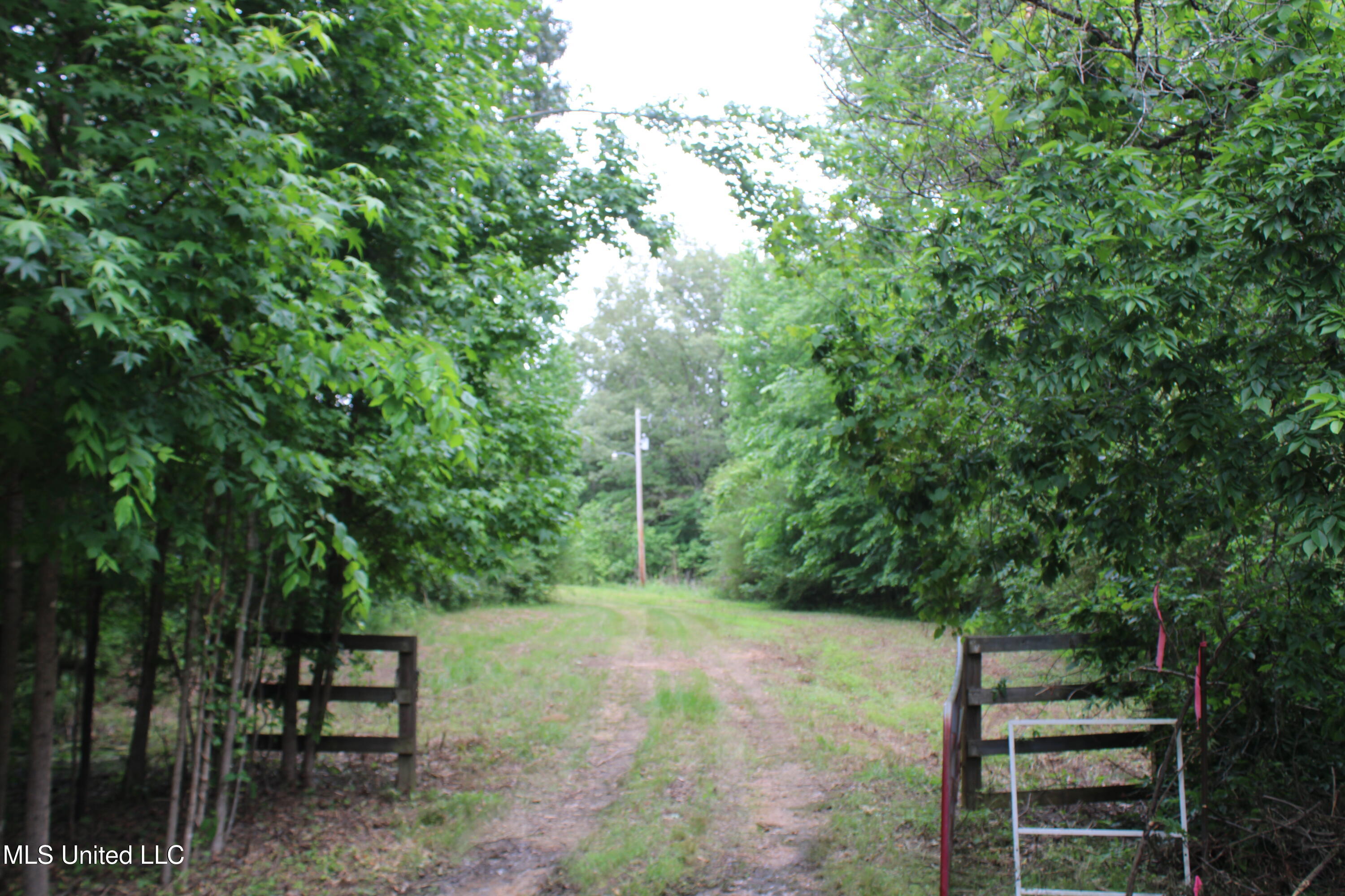 656 Sunset Drive, Coldwater, Mississippi image 41