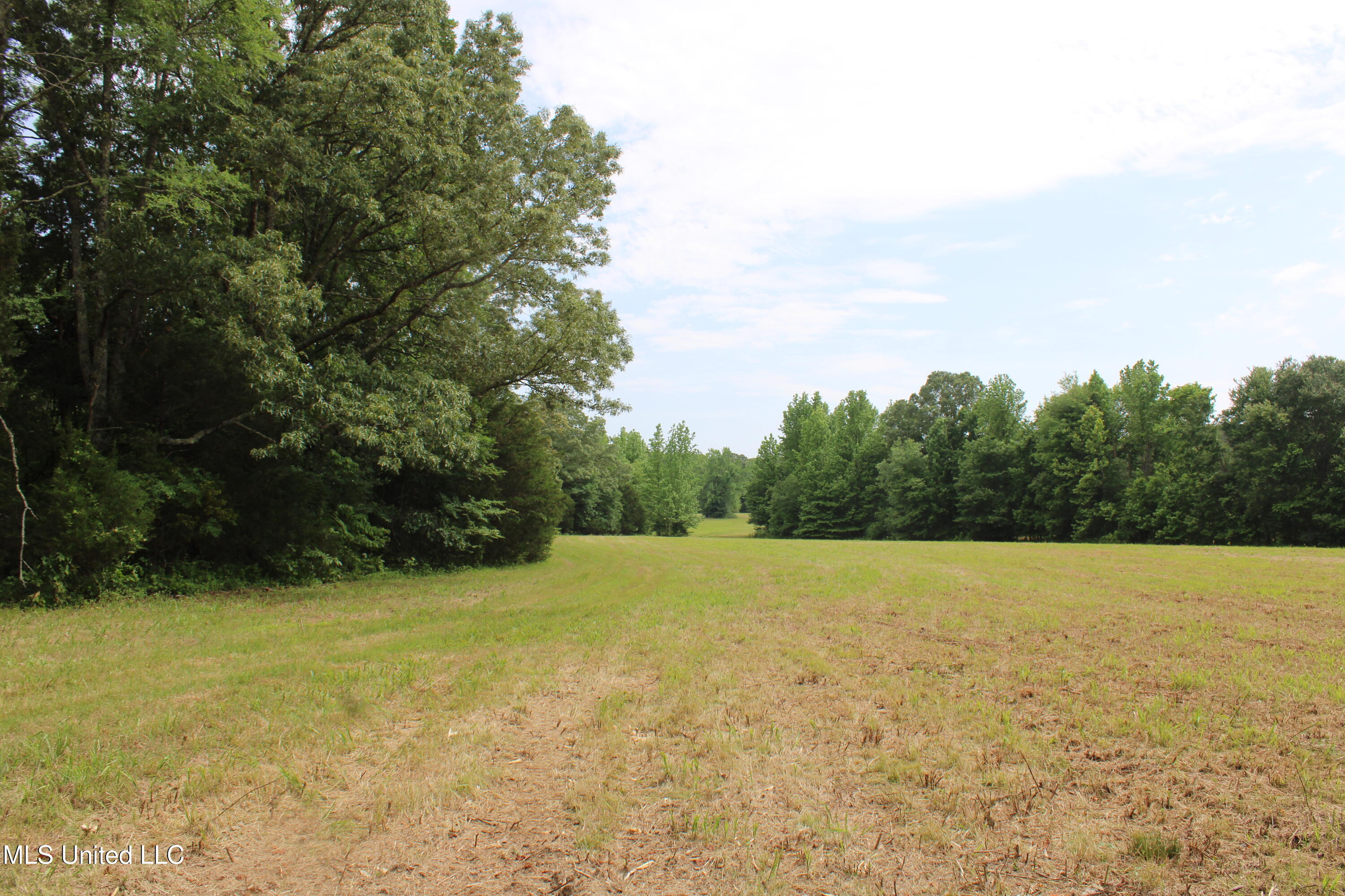 656 Sunset Drive, Coldwater, Mississippi image 21