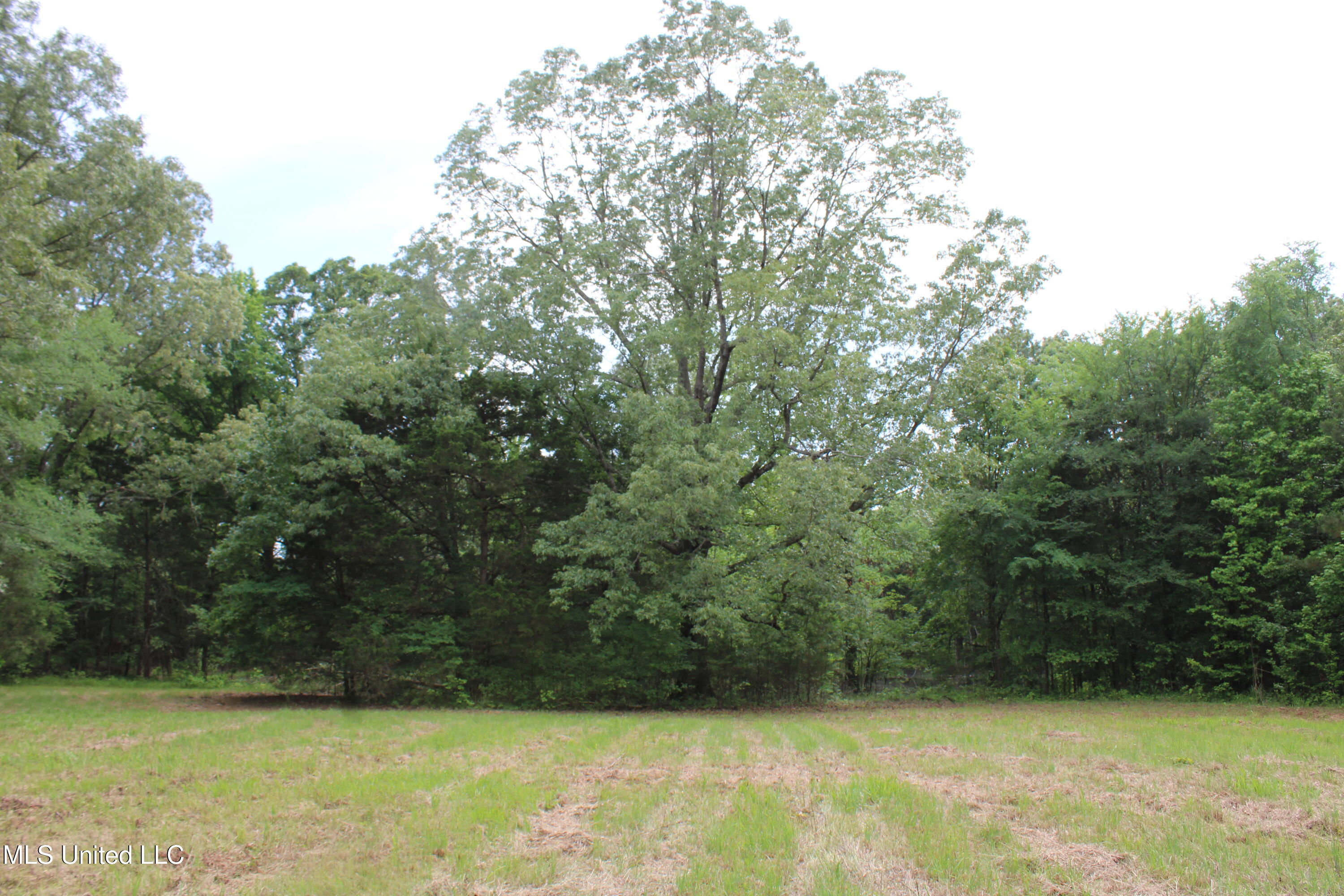 656 Sunset Drive, Coldwater, Mississippi image 18