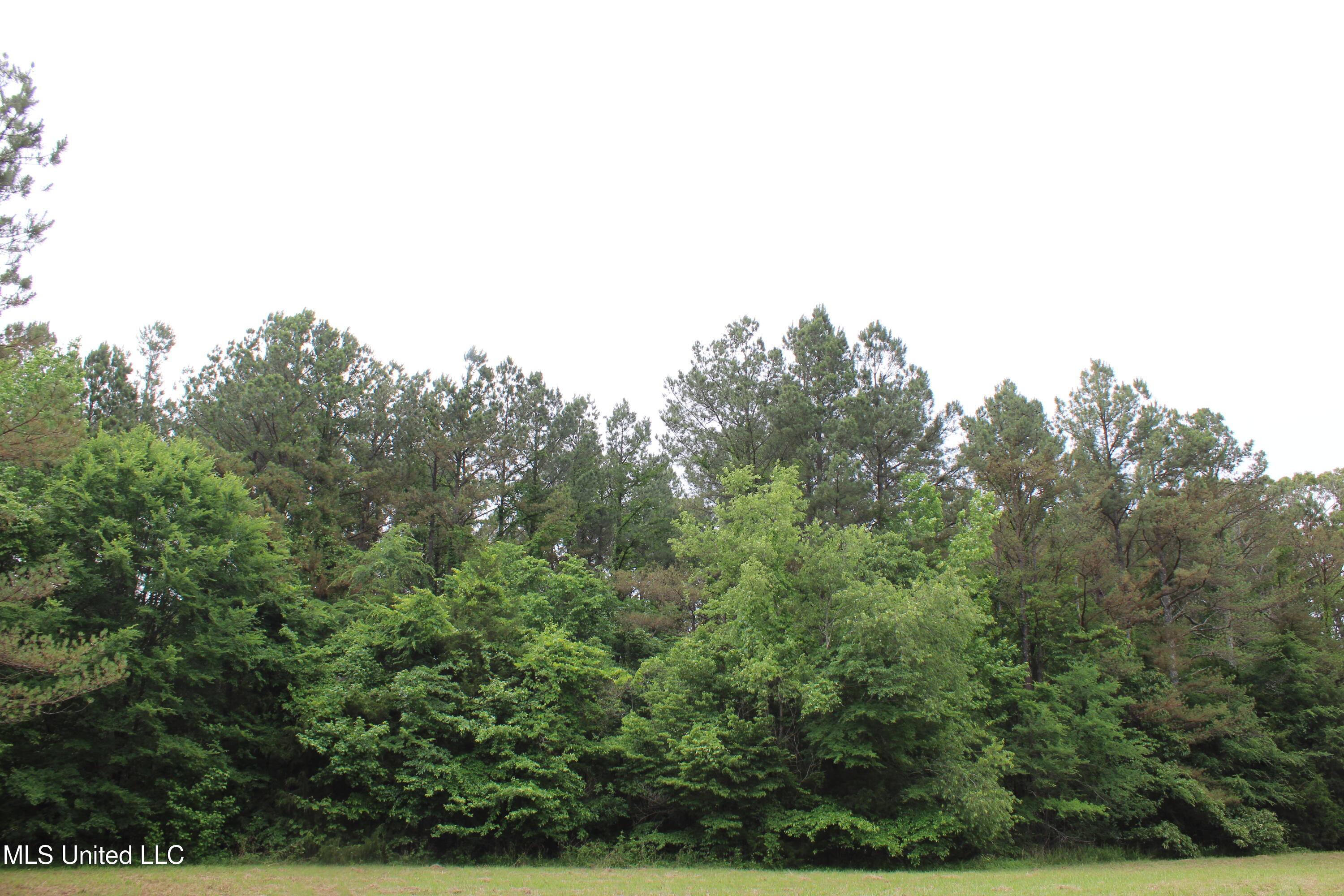 656 Sunset Drive, Coldwater, Mississippi image 27