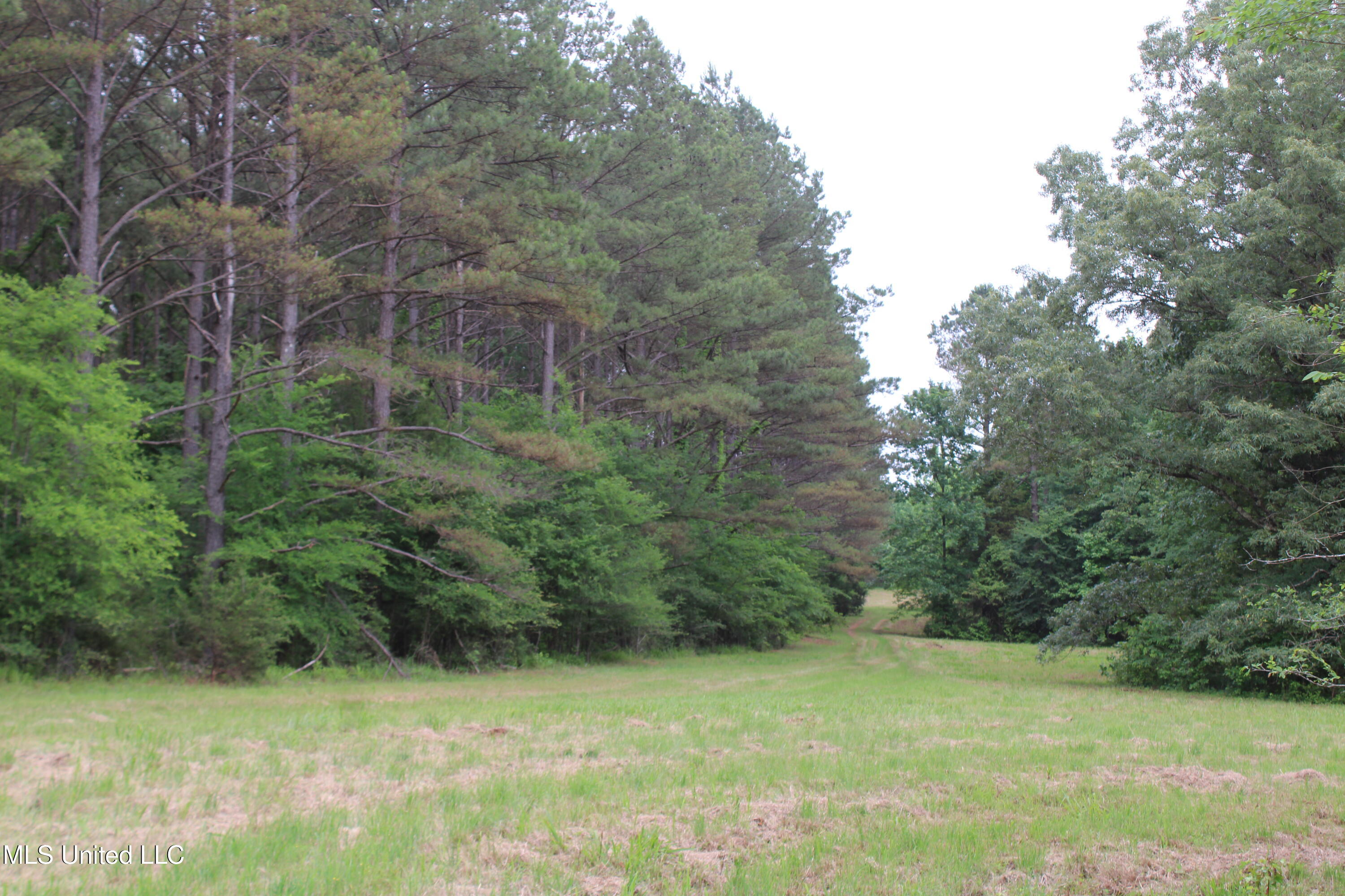 656 Sunset Drive, Coldwater, Mississippi image 40