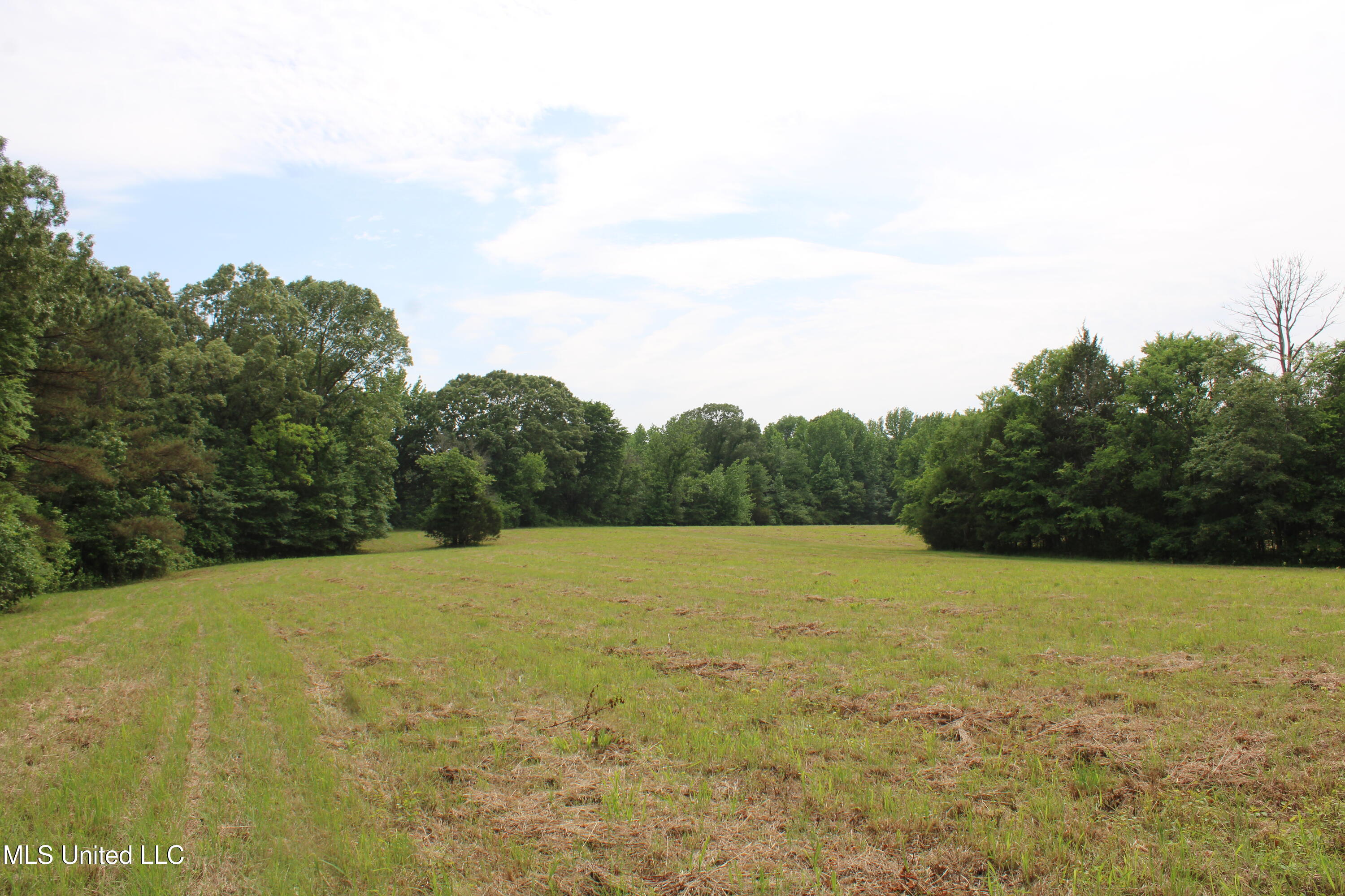 656 Sunset Drive, Coldwater, Mississippi image 20