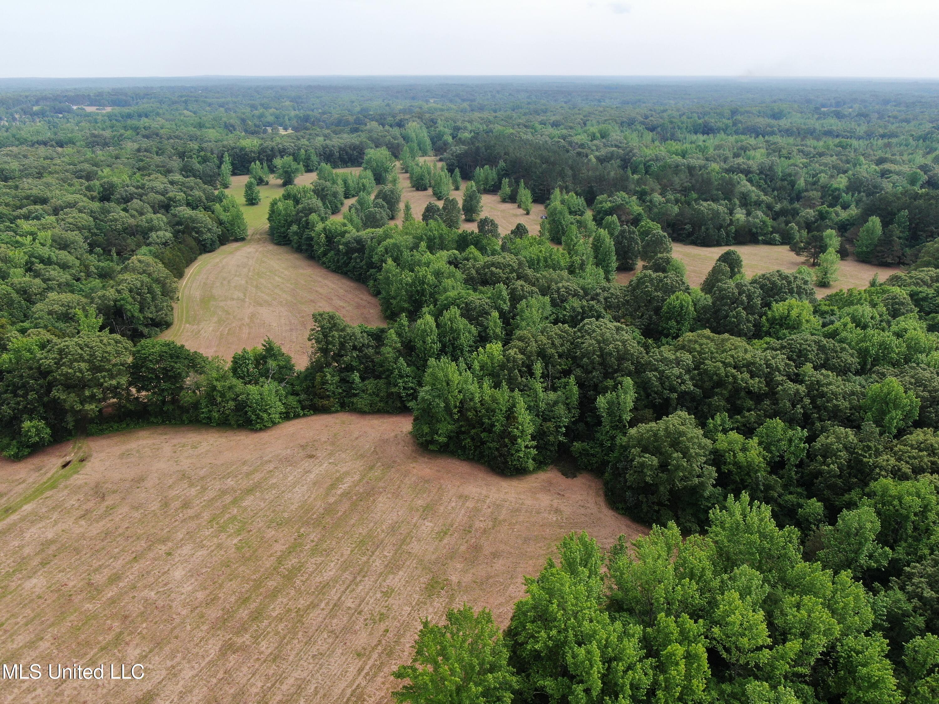 656 Sunset Drive, Coldwater, Mississippi image 8
