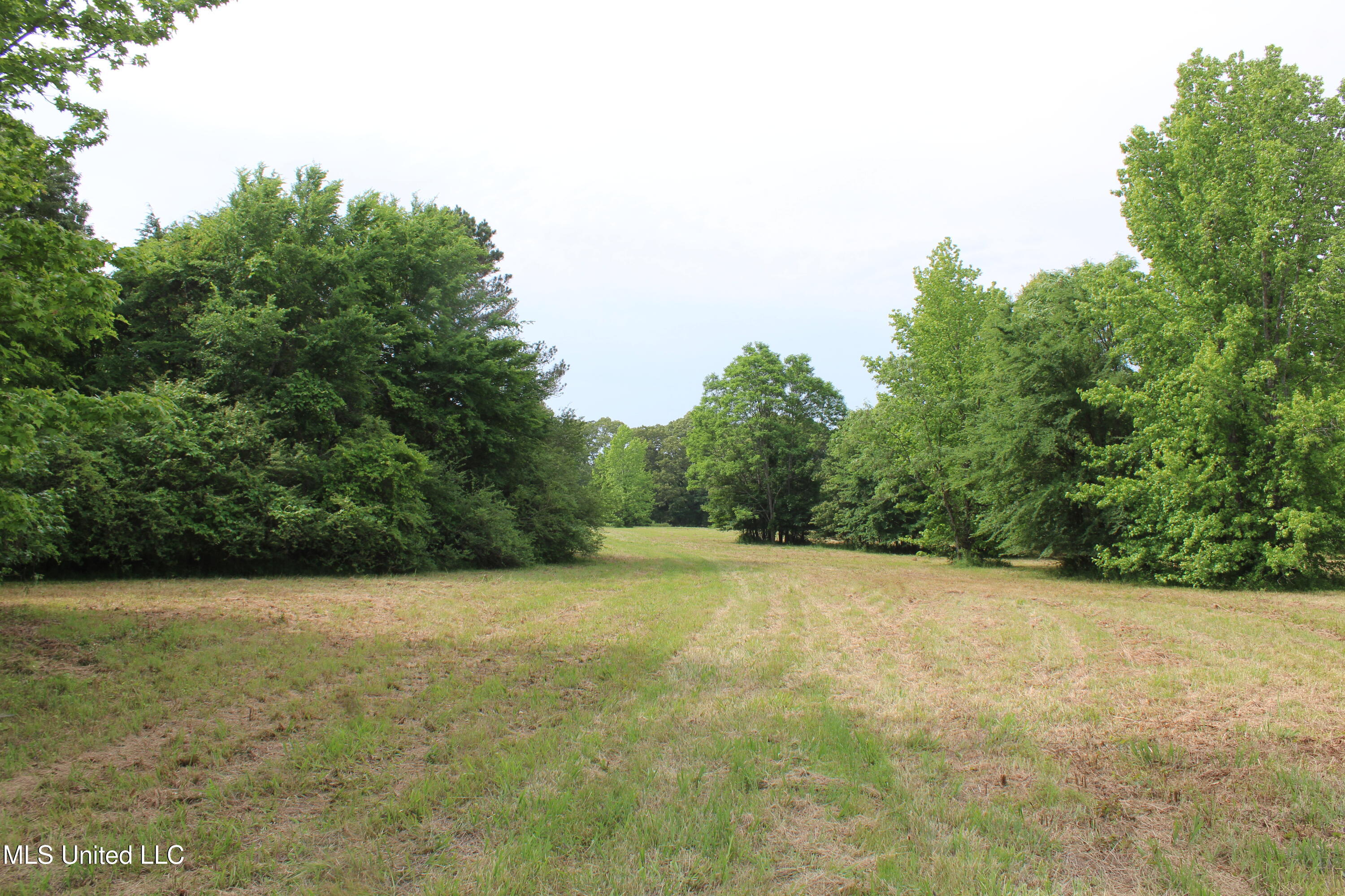 656 Sunset Drive, Coldwater, Mississippi image 36