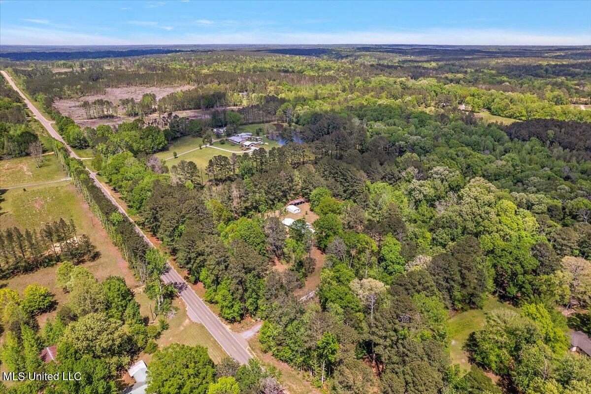 118 George Keys Drive, Mendenhall, Mississippi image 38
