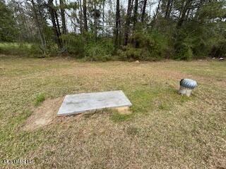 118 George Keys Drive, Mendenhall, Mississippi image 9