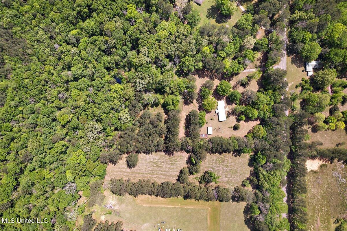 118 George Keys Drive, Mendenhall, Mississippi image 34