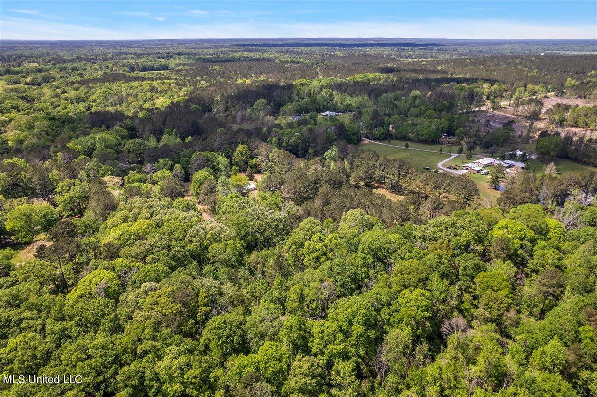 118 George Keys Drive, Mendenhall, Mississippi image 37