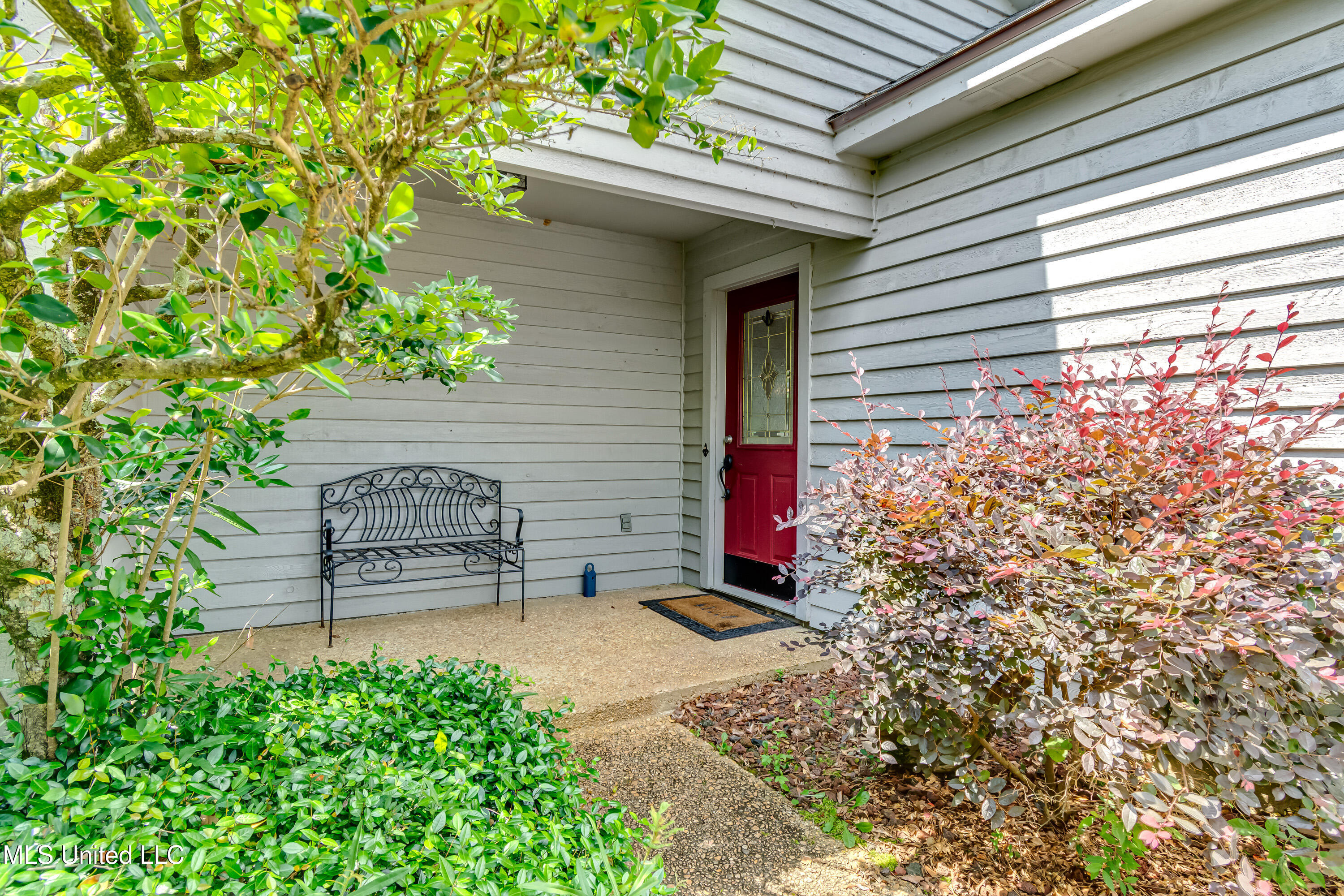 110 E Waterwood Drive, Brandon, Mississippi image 3