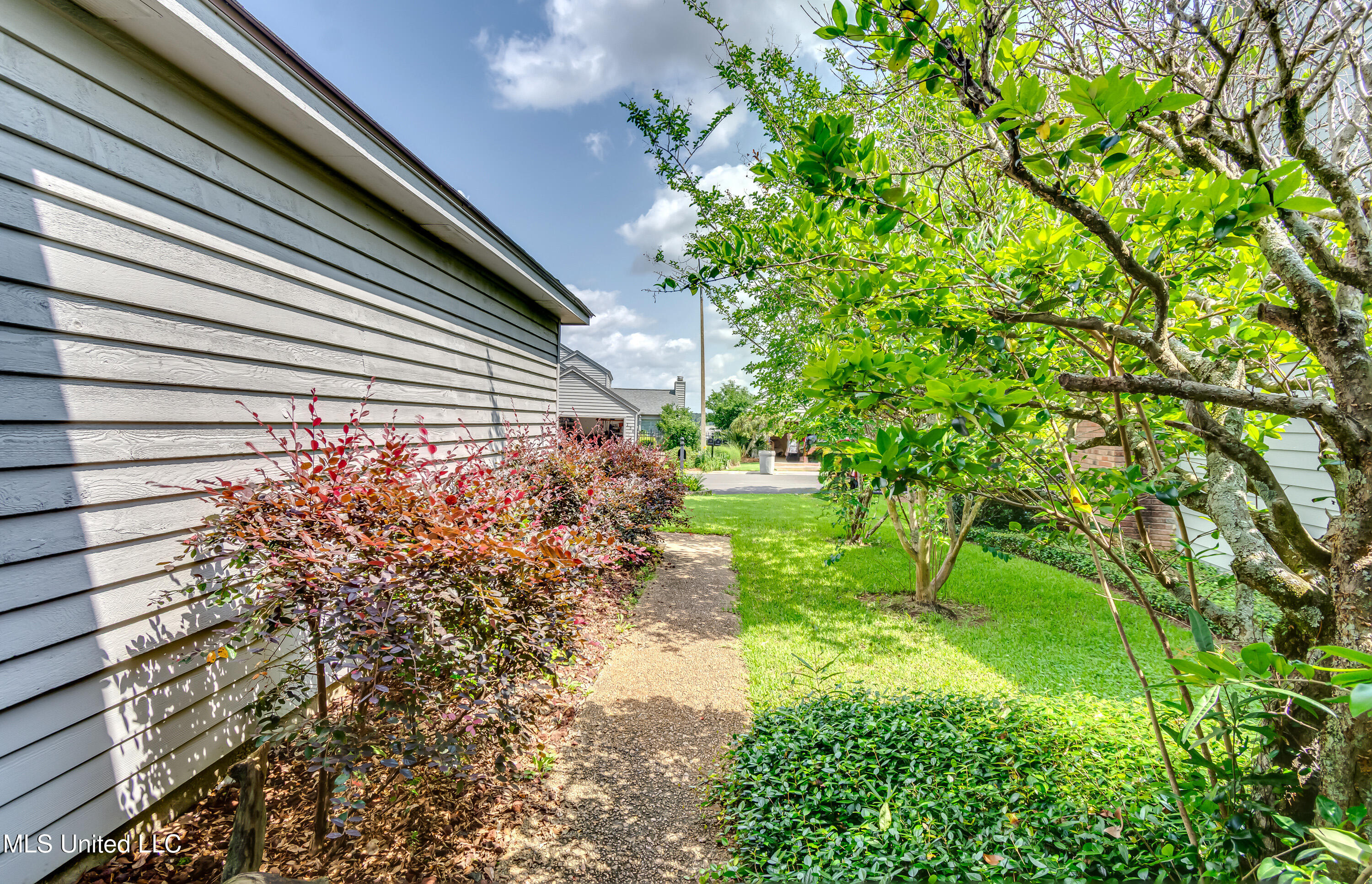 110 E Waterwood Drive, Brandon, Mississippi image 6