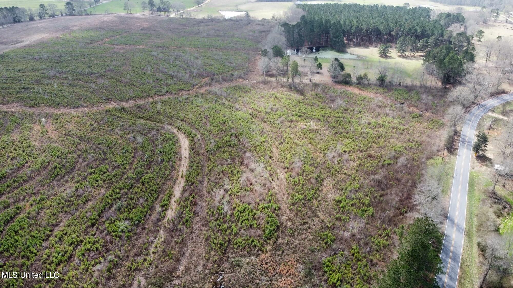 Dry Creek Road #2, Magee, Mississippi image 7