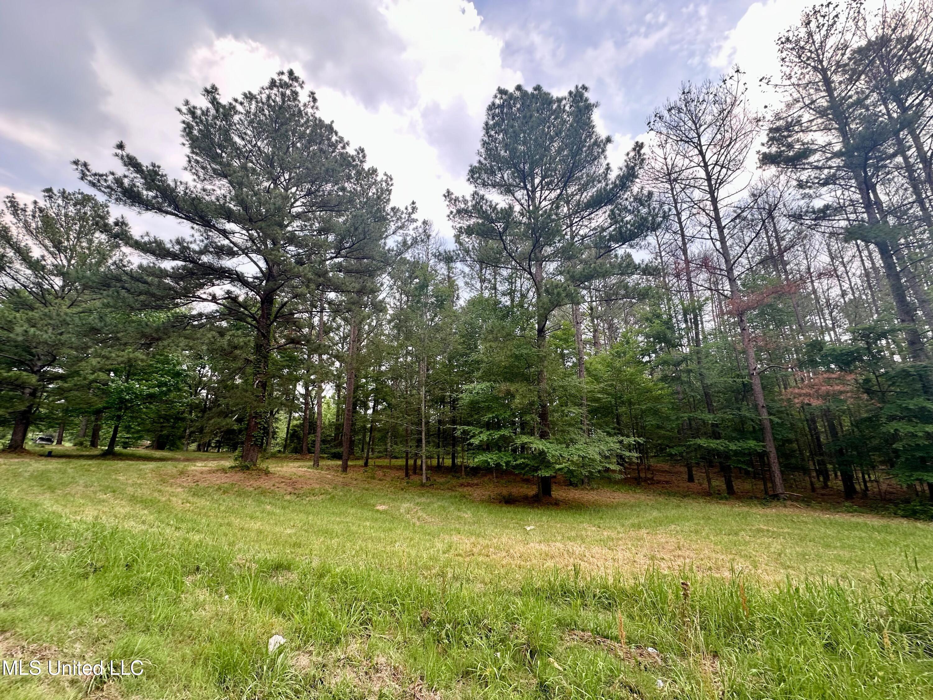 278 Mannsdale Road, Madison, Mississippi image 11