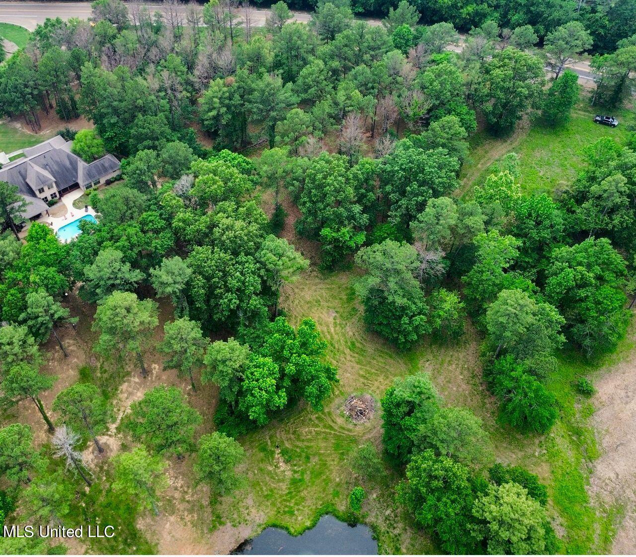 278 Mannsdale Road, Madison, Mississippi image 12