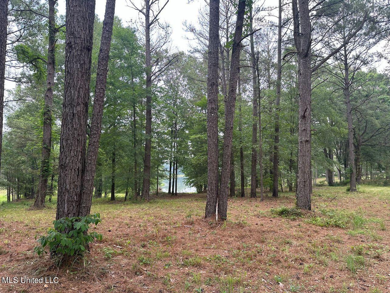 278 Mannsdale Road, Madison, Mississippi image 8