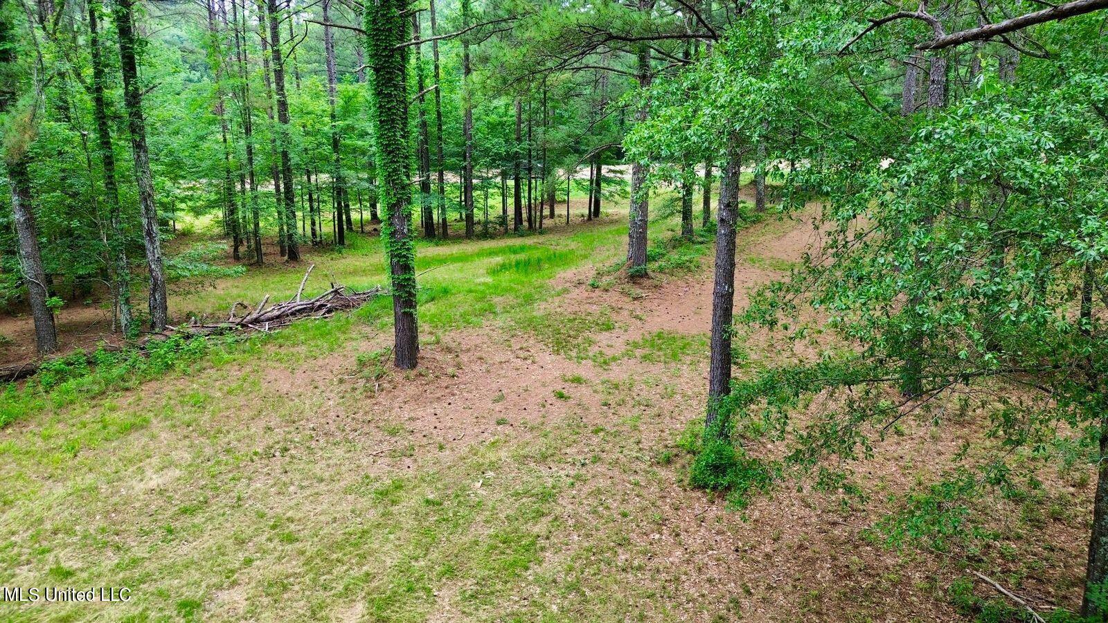278 Mannsdale Road, Madison, Mississippi image 5