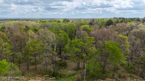 Vacant Land For Sale - Mississippi 7<br/> Marshall County, Holly Springs, MS 38635