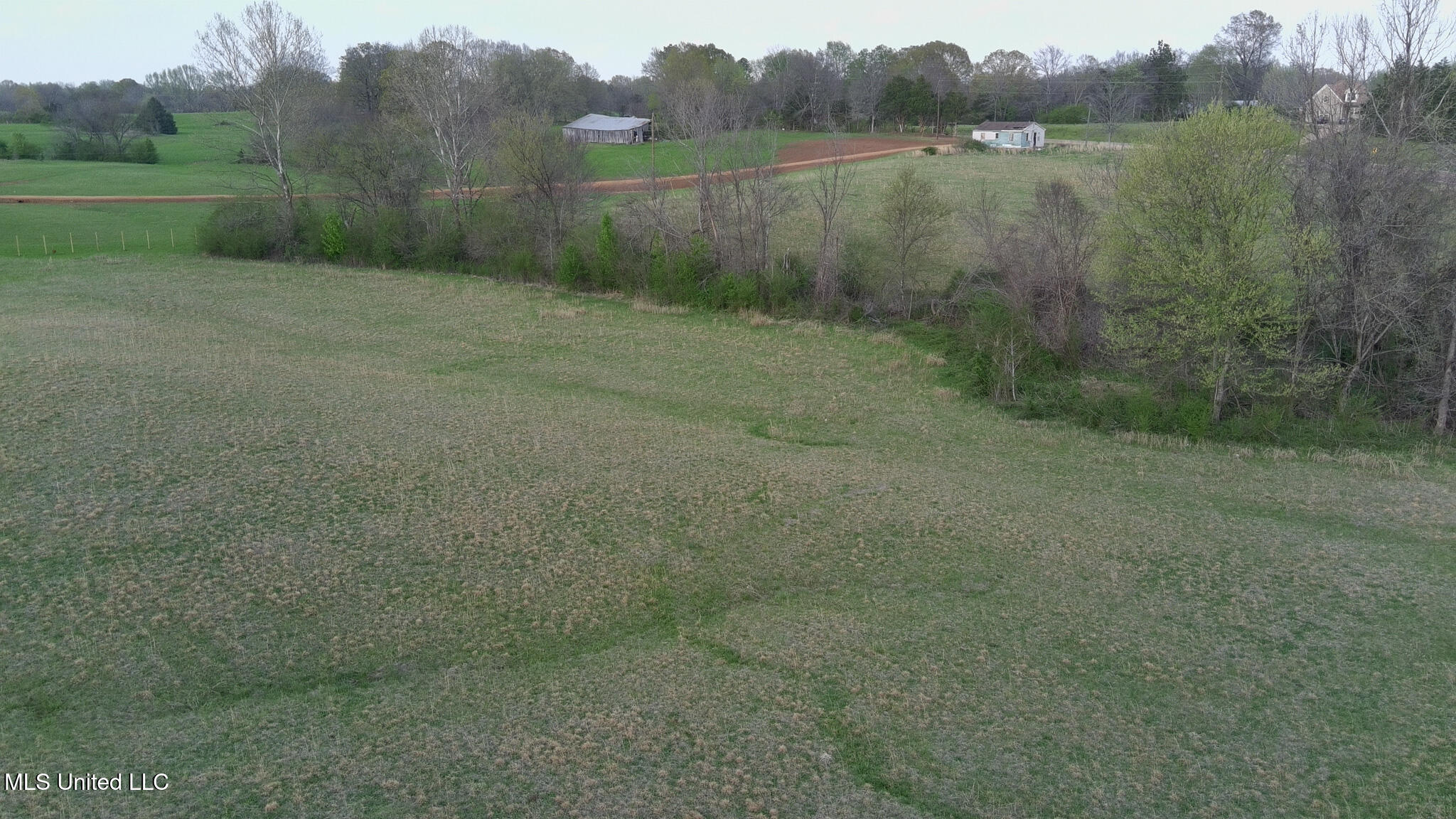 Sycamore Road, Coldwater, Mississippi image 4