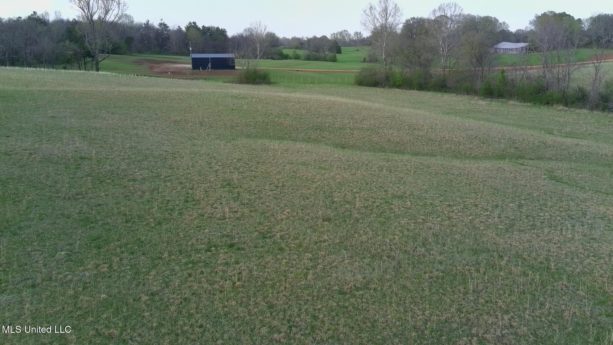 Sycamore Road, Coldwater, Mississippi image 5