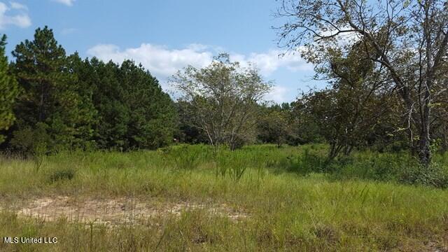 Bob Simpson Road, Poplarville, Mississippi image 3