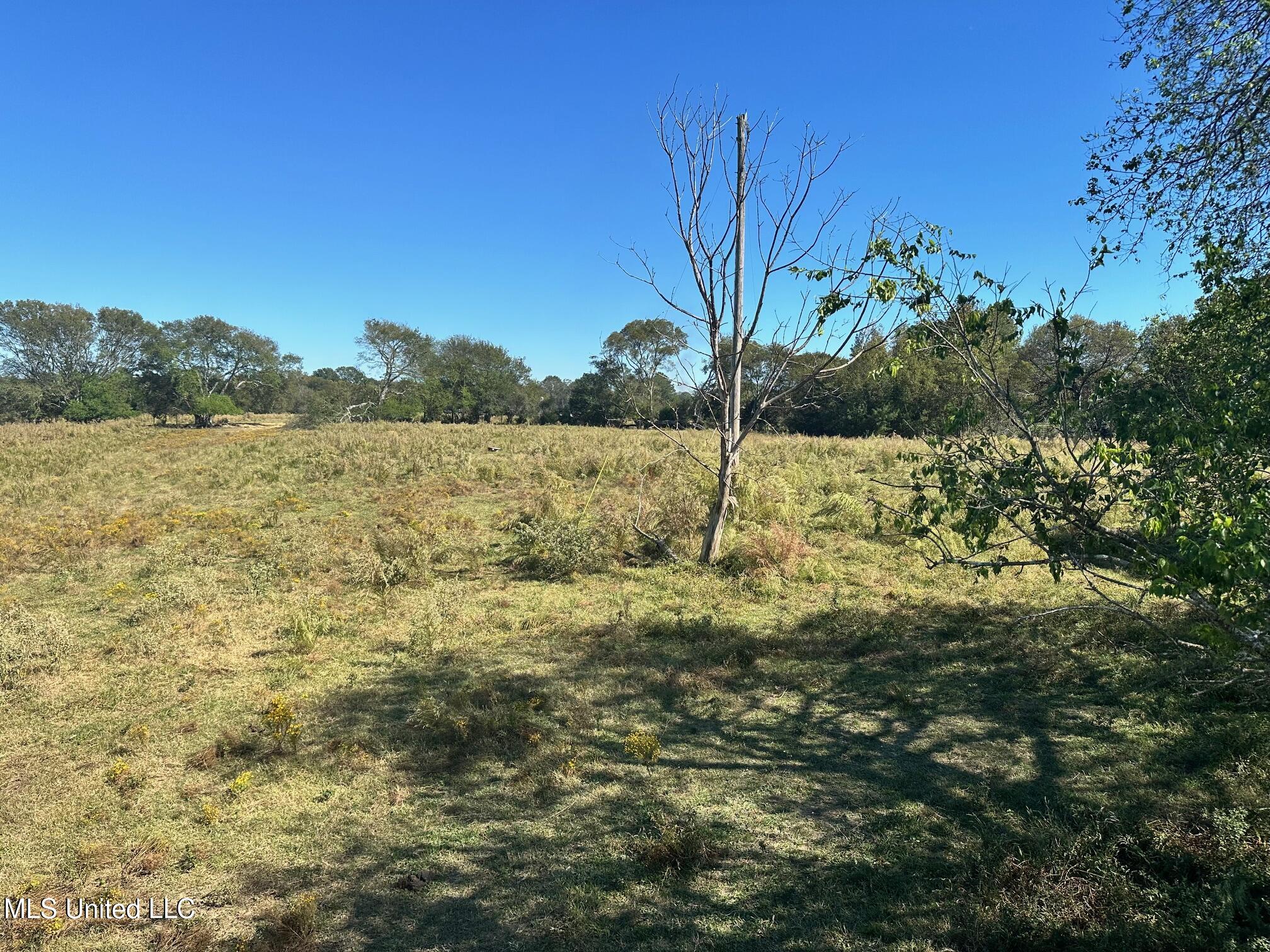 Lot #1 Robinson Road, Canton, Mississippi image 3