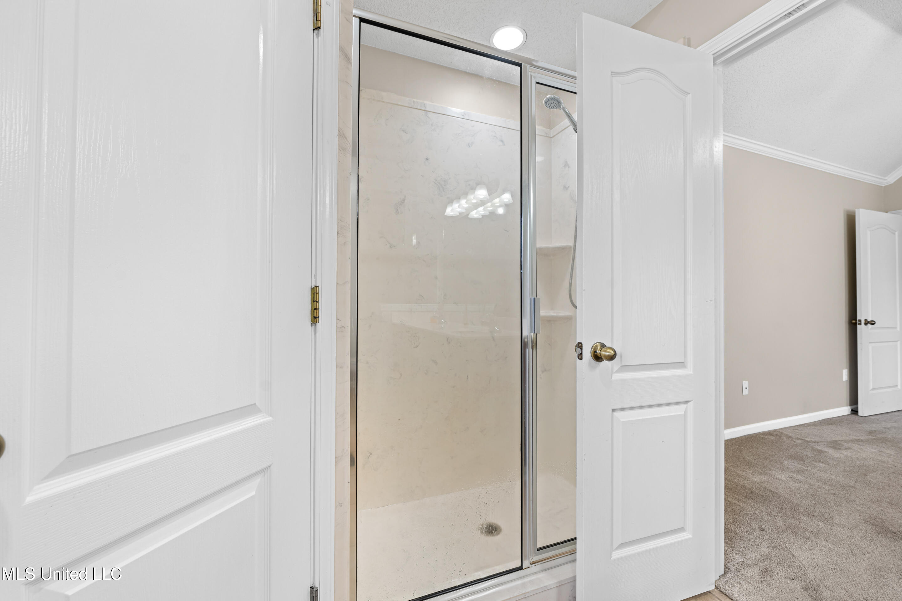 6382 W Sandbourne, Olive Branch, Mississippi image 21